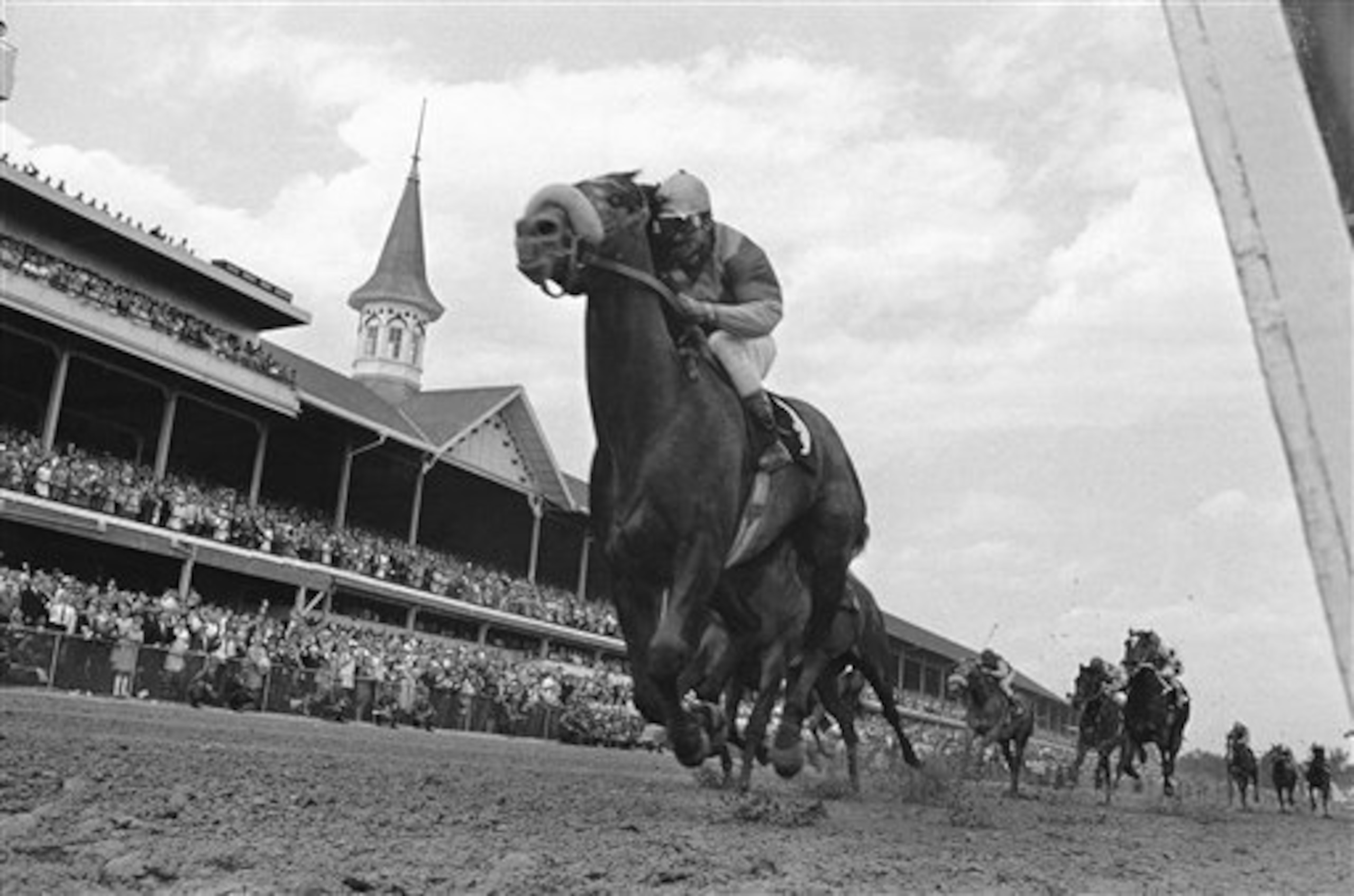 Dancer's Image is the only horse to have been disqualified after winning the Kentucky Derby. Dancer's Image is the only horse to have been disqualified after winning the Kentucky Derby.