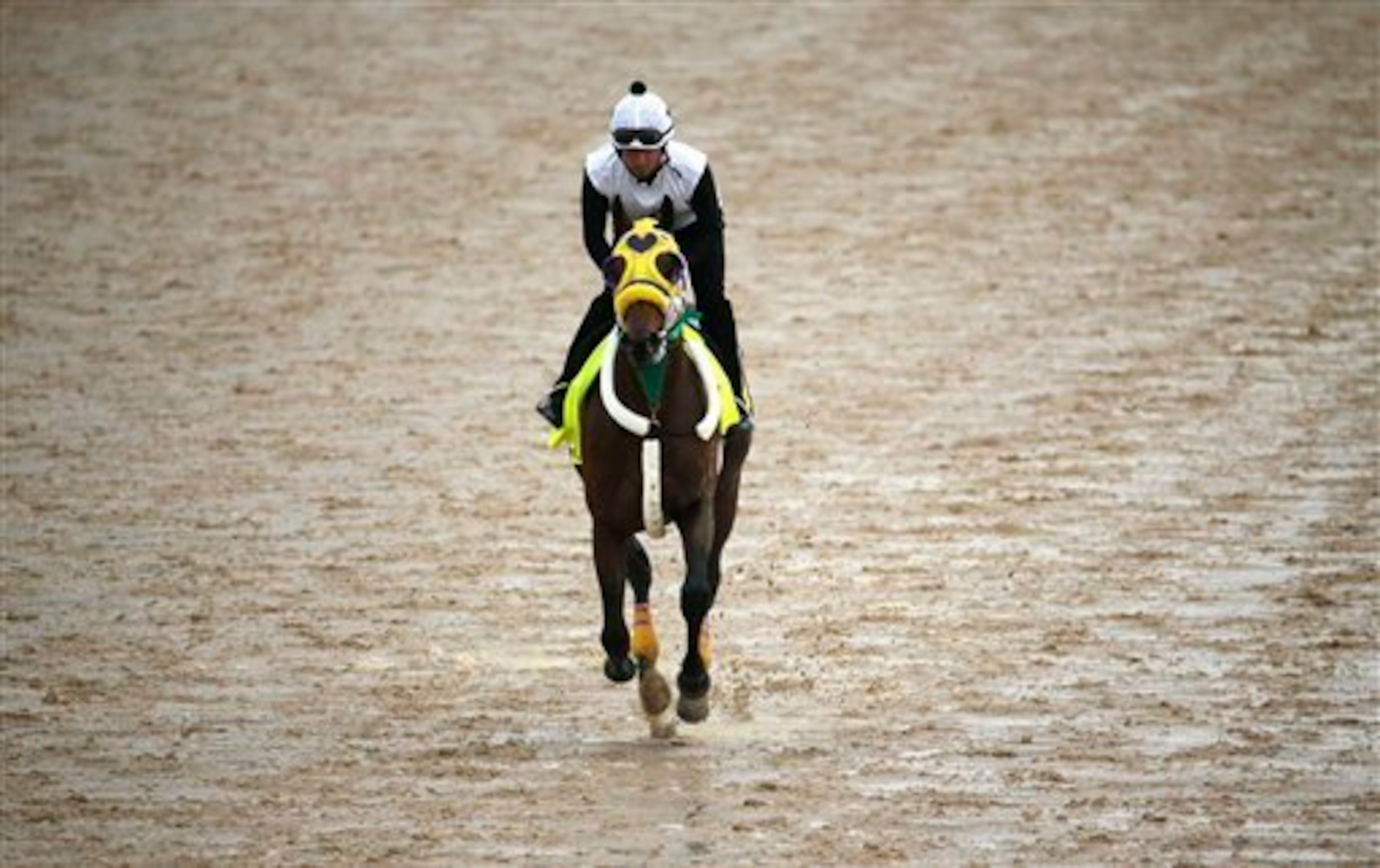 Uncle Sigh gallops in the slop. Uncle Sigh gallops in the slop.