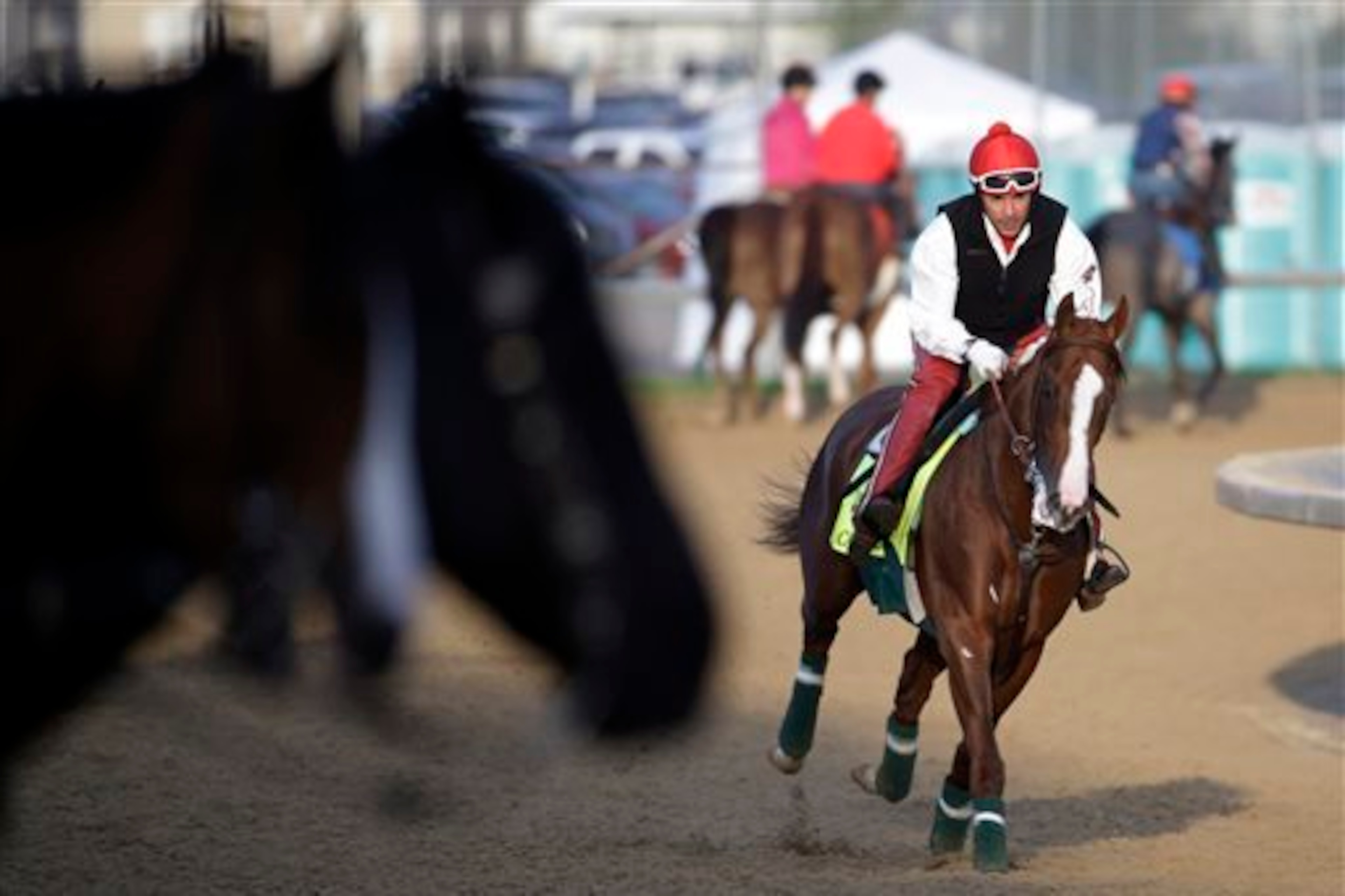 California Chrome, on paper, appears to be the best shot this year at a Triple Crown. California Chrome, on paper, appears to be the best shot this year at a Triple Crown.
