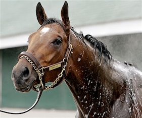 No cup of sweet tea for this Uncle Sigh.