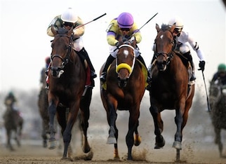 Samraat (left) has the heart to win the three legs.