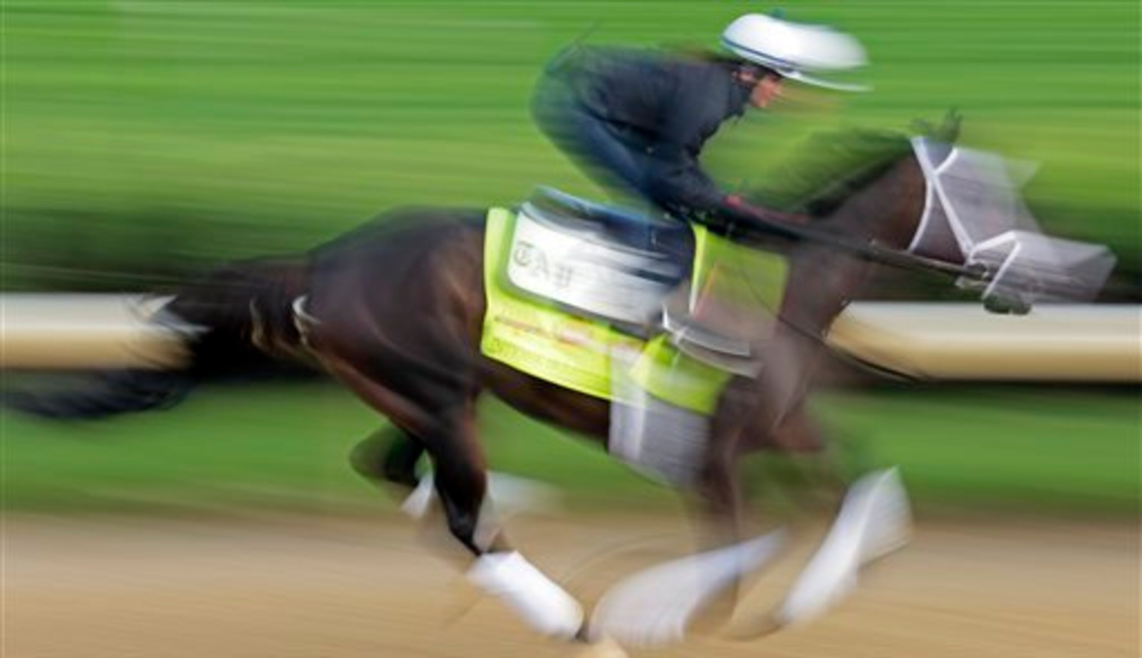Intense Holiday could be a blur through the Triple Crown. Intense Holiday could be a blur through the Triple Crown.