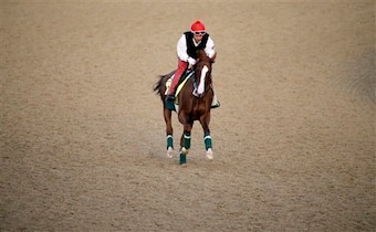 Chrome could be all alone.