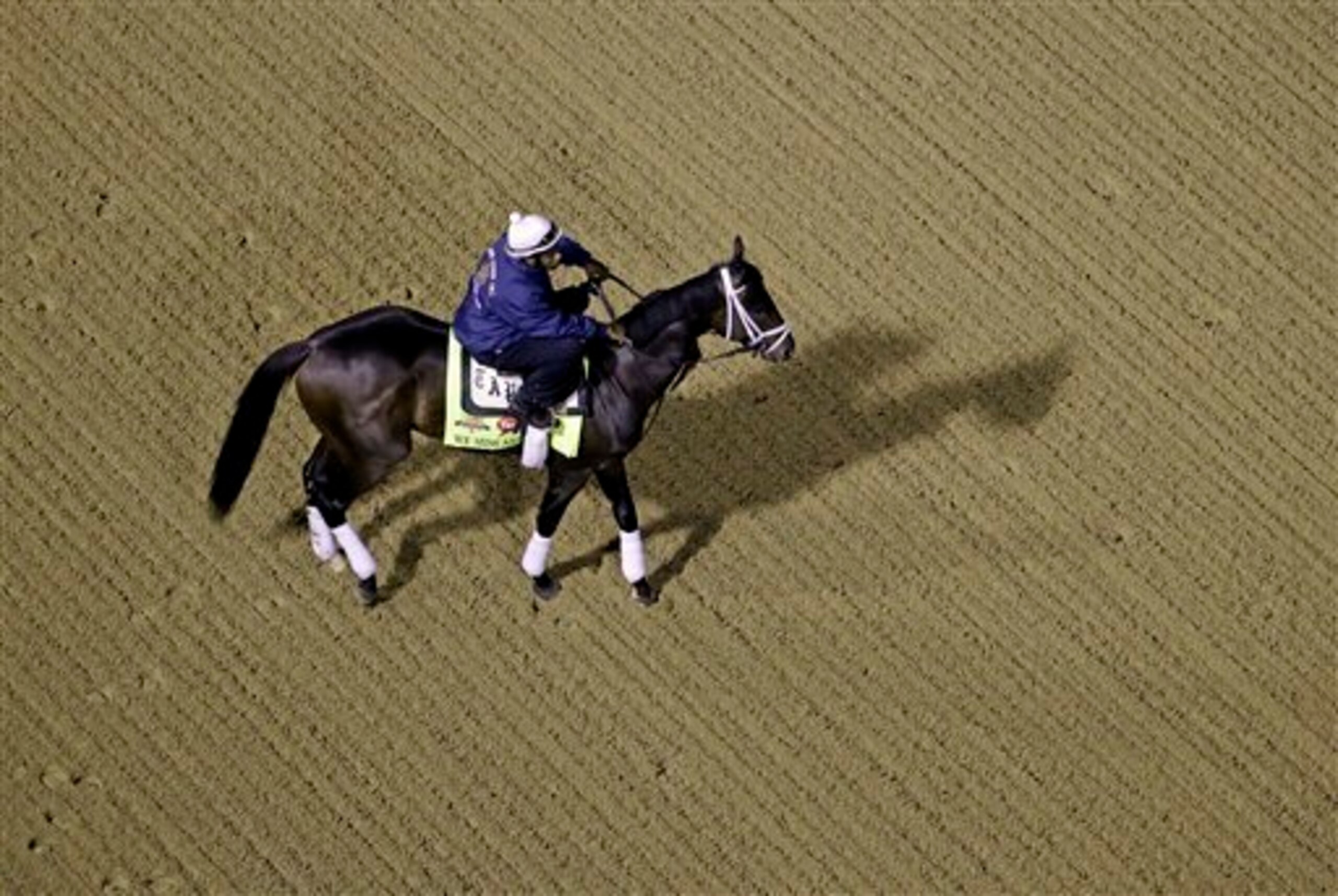 We Miss Artie leads the horses with no chance.