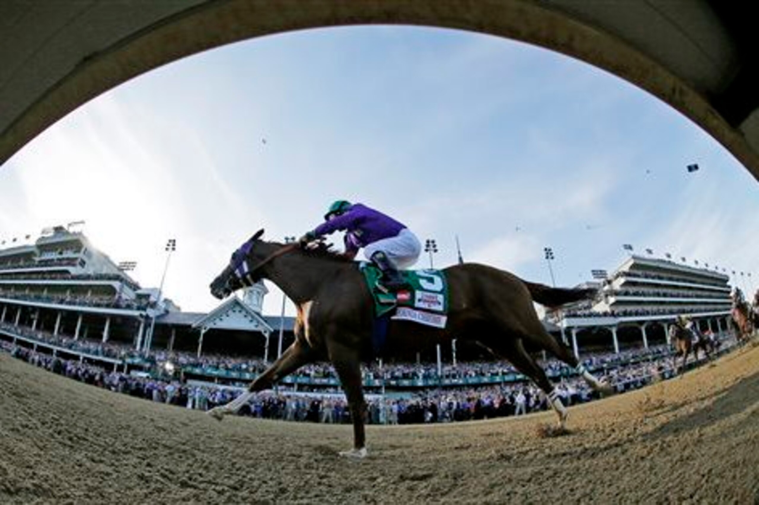 California Chrome wins the Kentucky Derby.