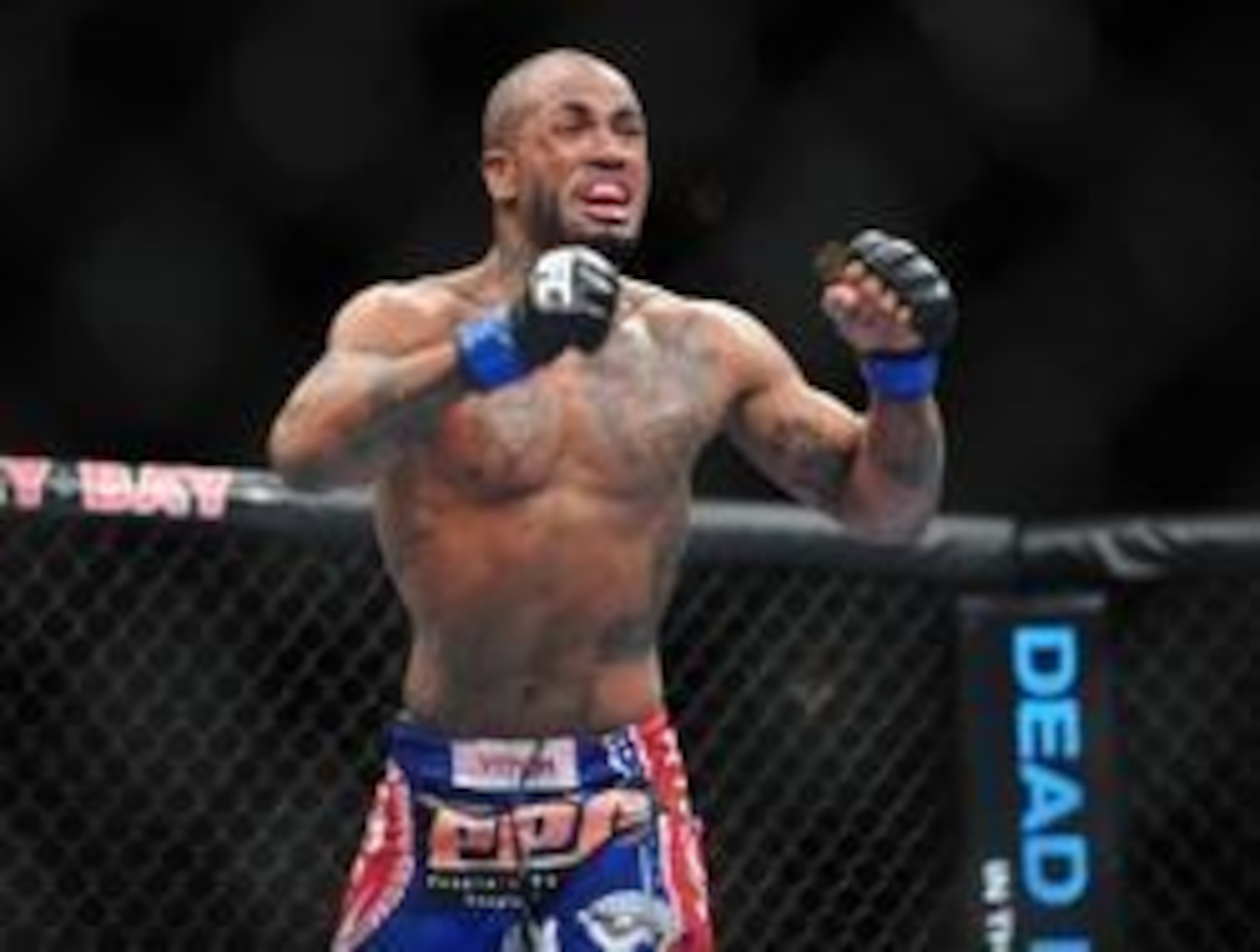 Feb 2, 2013; Las Vegas, NV, USA; Bobby Green  celebrates his TKO victory during UFC 156 at the Mandalay Bay Events Center. Mandatory Credit: Gary A. Vasquez-USA TODAY Sports