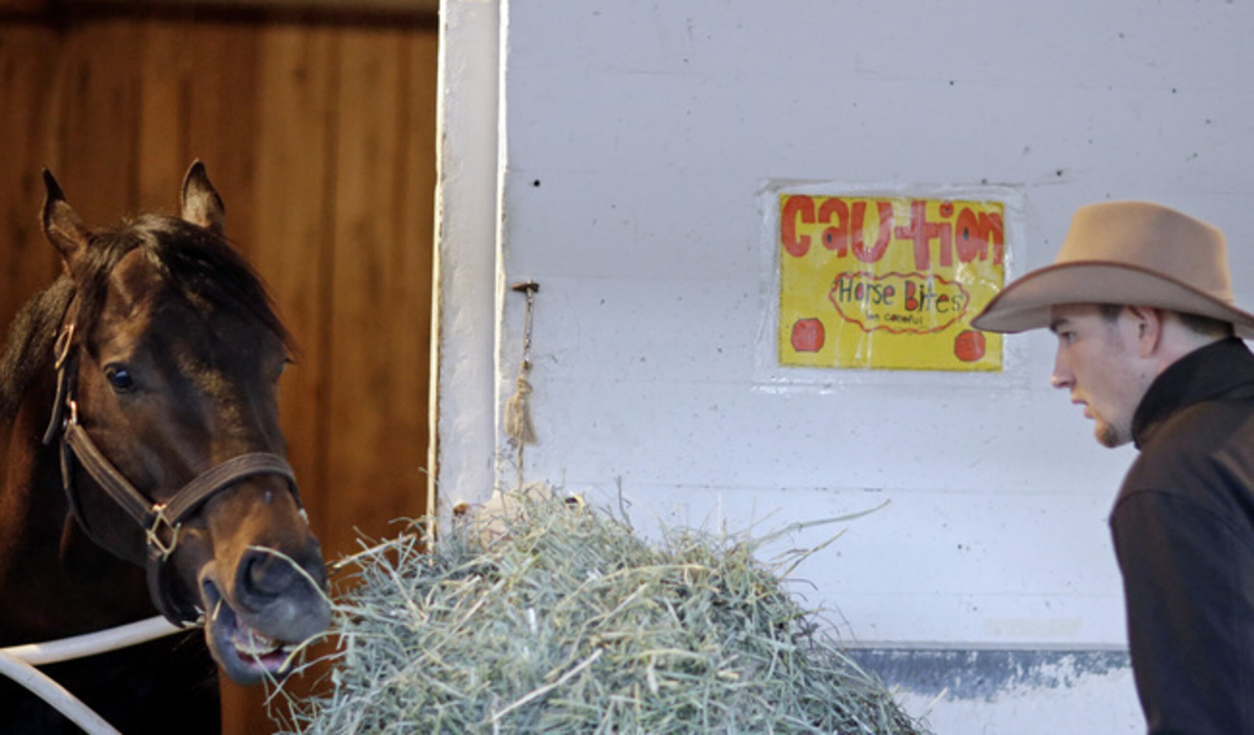 Ride On Curlin stands by a sign that says Ride On Curlin stands by a sign that says