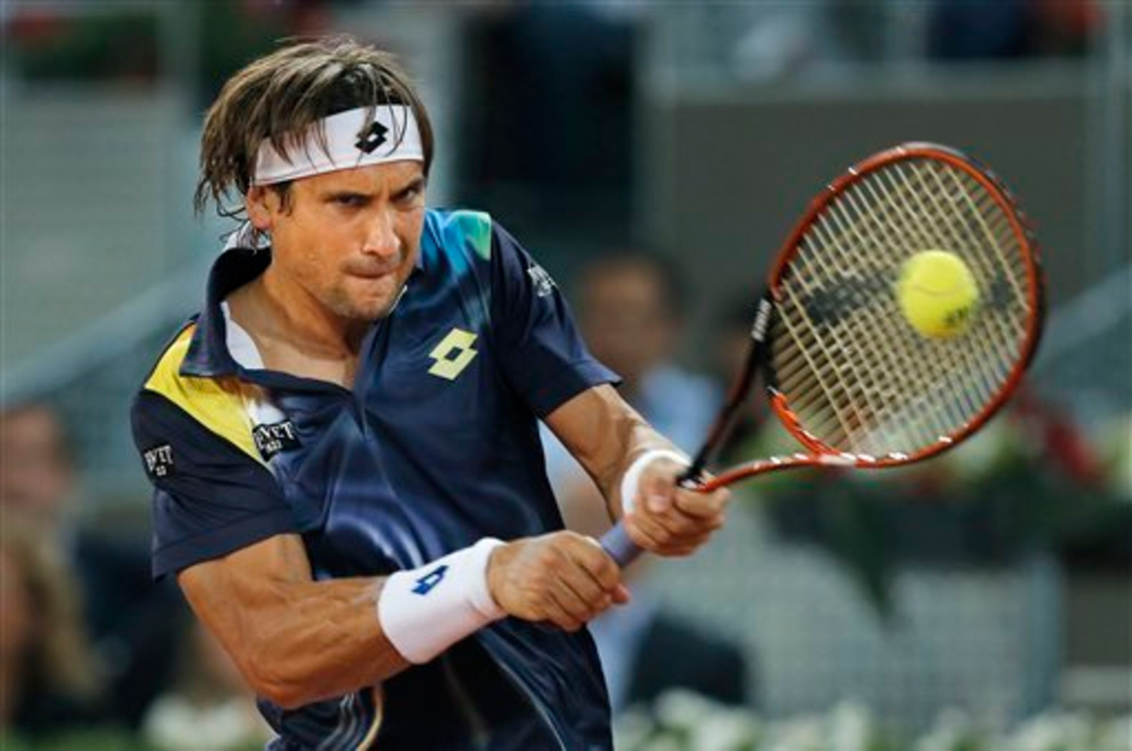 David Ferrer