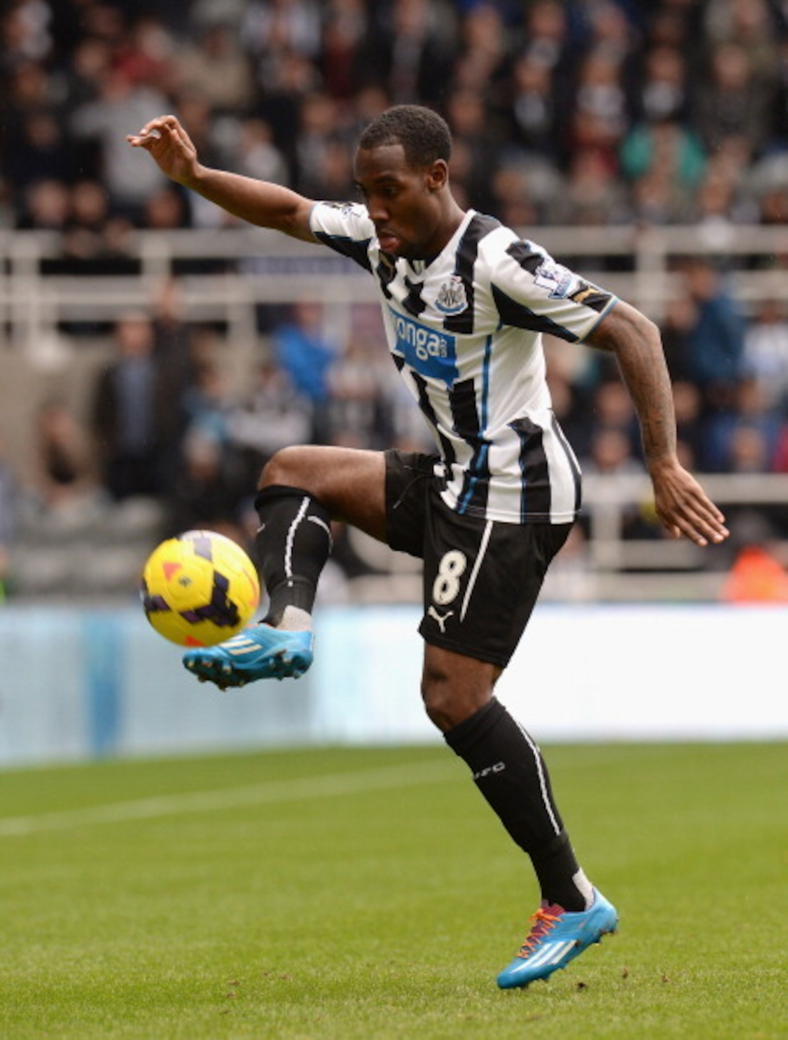 Vurnon Anita