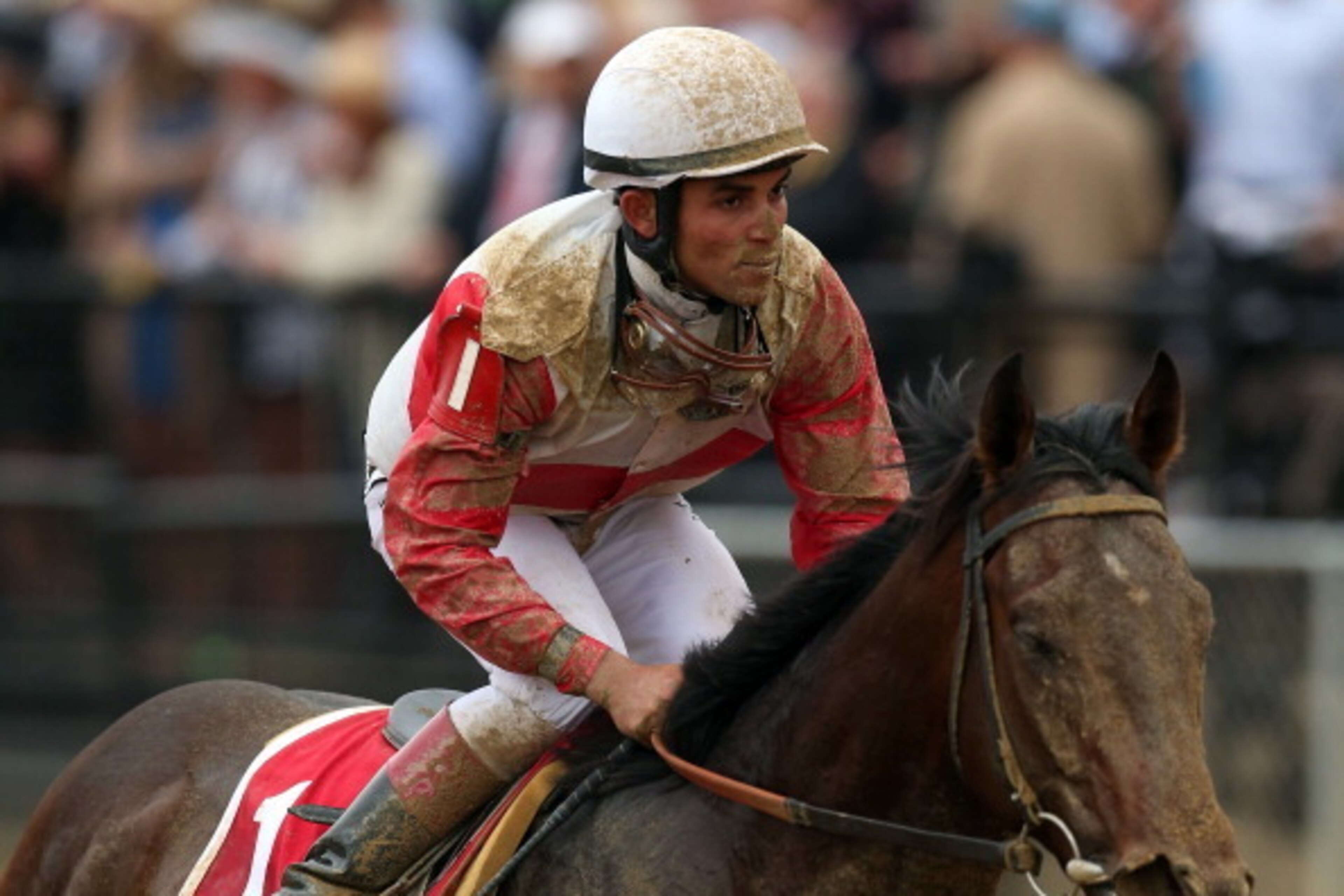 Orb, the 2013 Derby winner, failed to deliver in the Preakness Stakes.