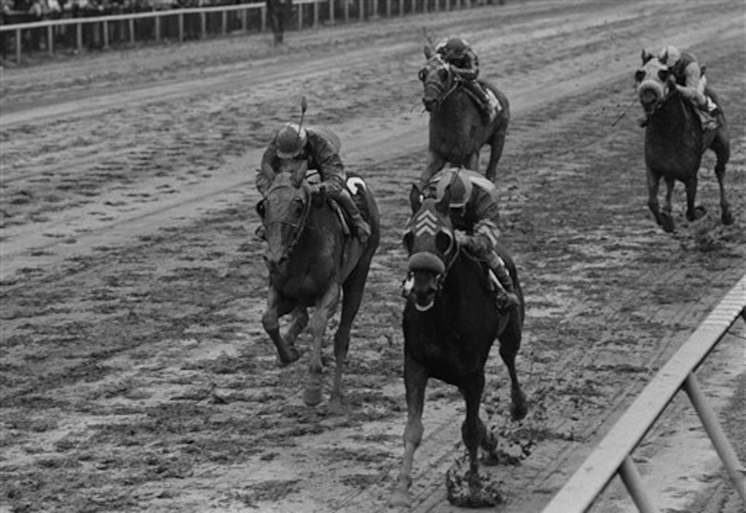 Bee Bee Bee defeating Riva Ridge in the Preakness.