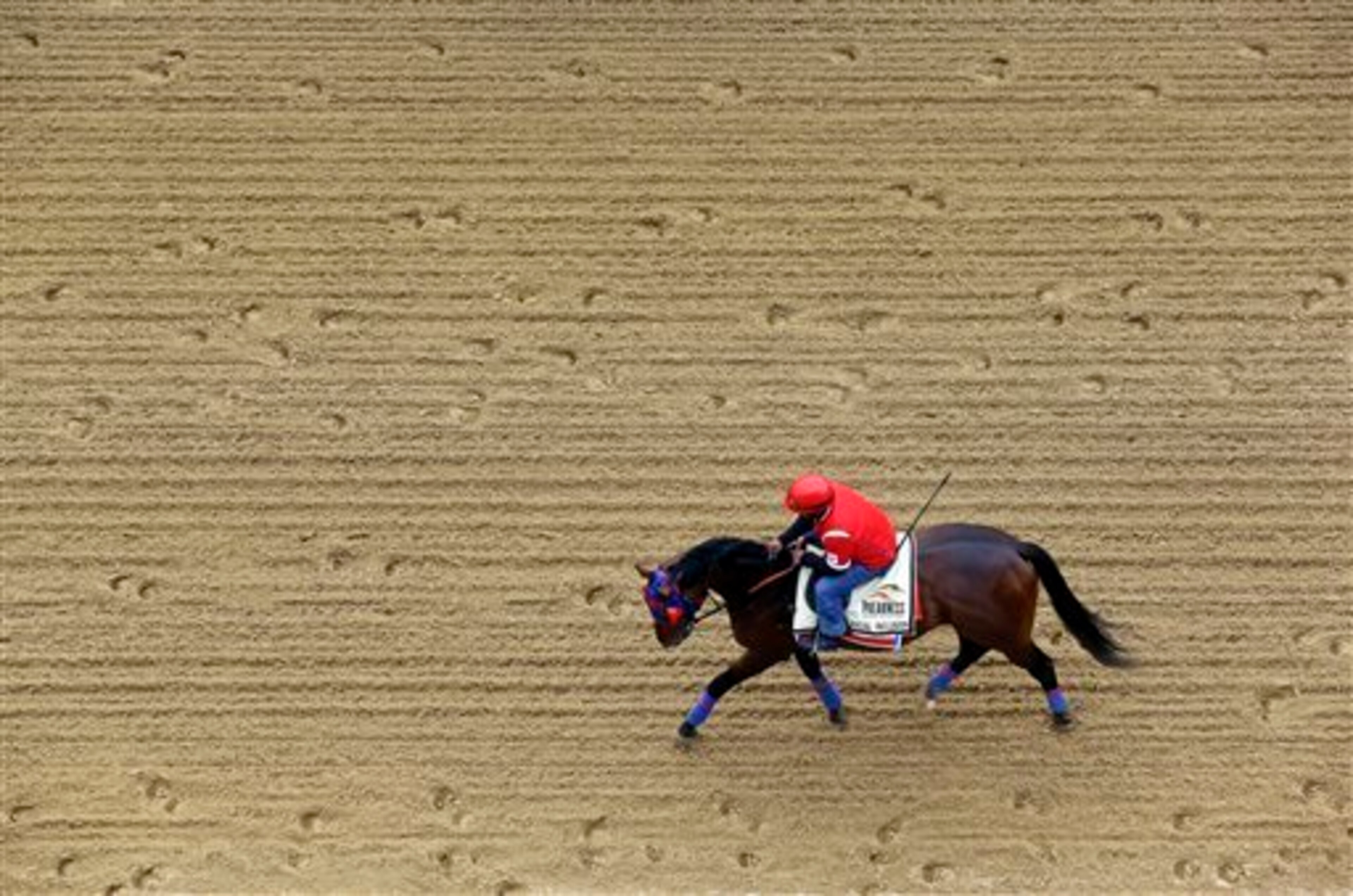 Social Inclusion is hot heading into the Preakness. Social Inclusion is hot heading into the Preakness.