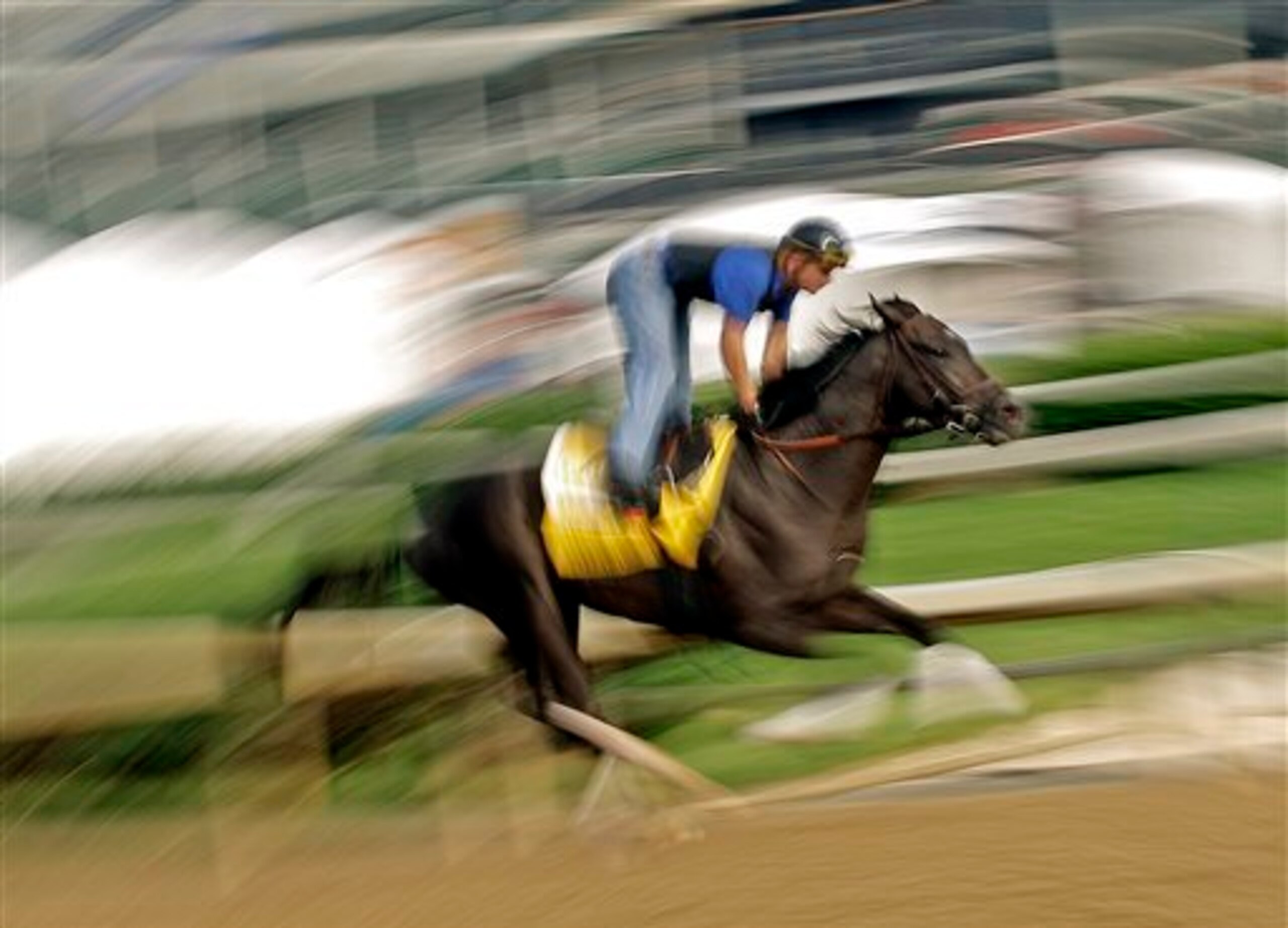 Danza is just one of many top Derby horses that could've made a splash in the Preakness. Danza is just one of many top Derby horses that could've made a splash in the Preakness.