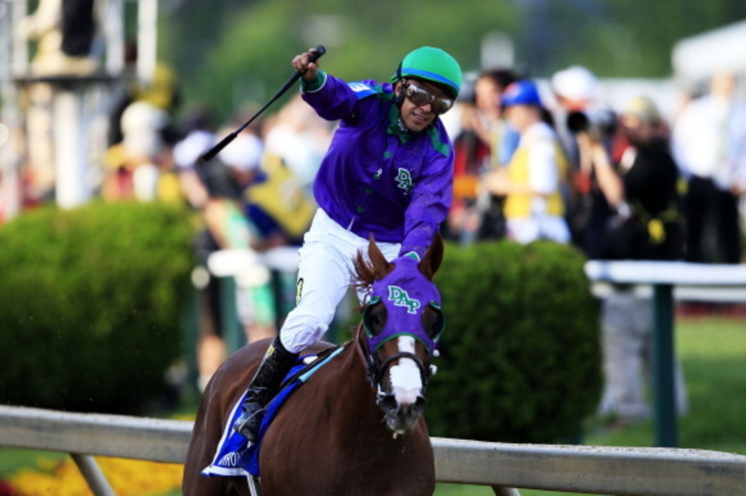 California Chrome rocked the Preakness.