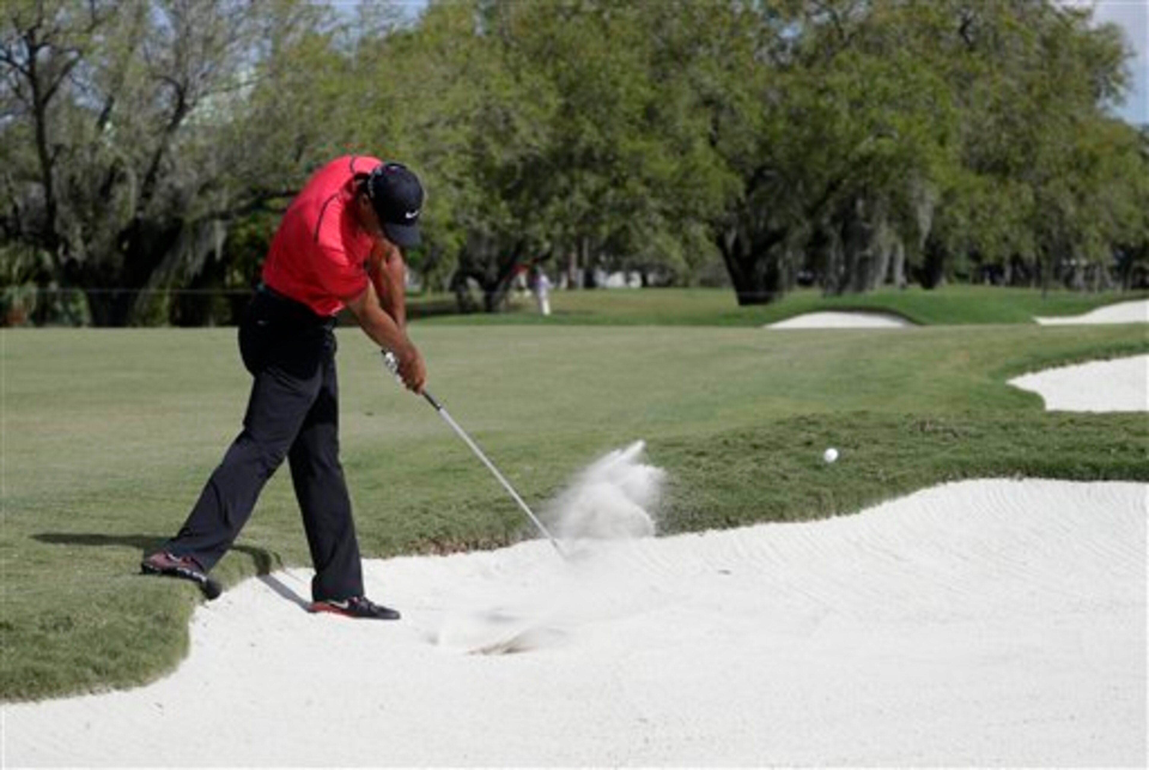 This bunker shot at Doral was particularly painful for Tiger Woods. This bunker shot at Doral was particularly painful for Tiger Woods.