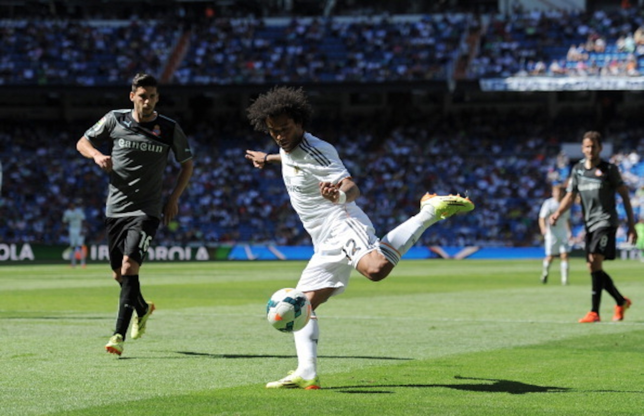 Marcelo has performed well.