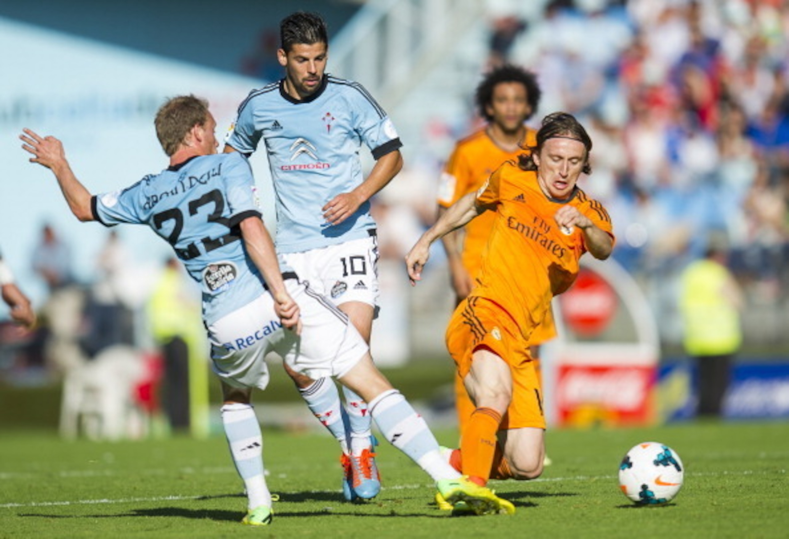 Luka Modric has been a revelation.