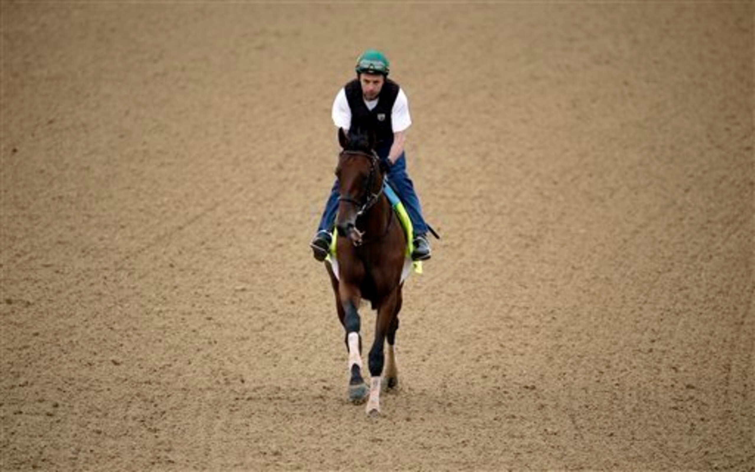 Samraat skipped the Preakness to freshen up for the Belmont. Samraat skipped the Preakness to freshen up for the Belmont.