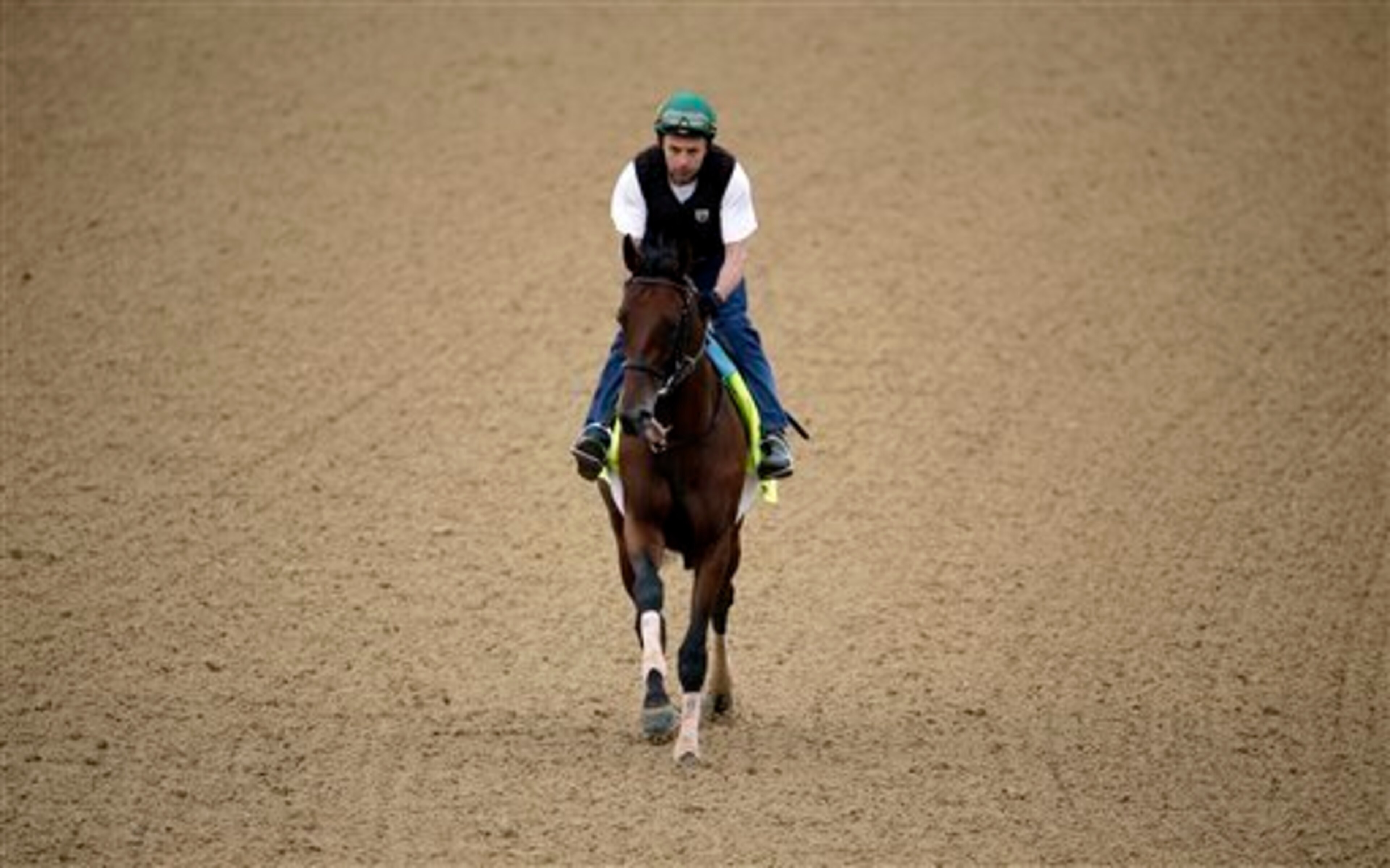 Samraat skipped the Preakness to freshen up for the Belmont.