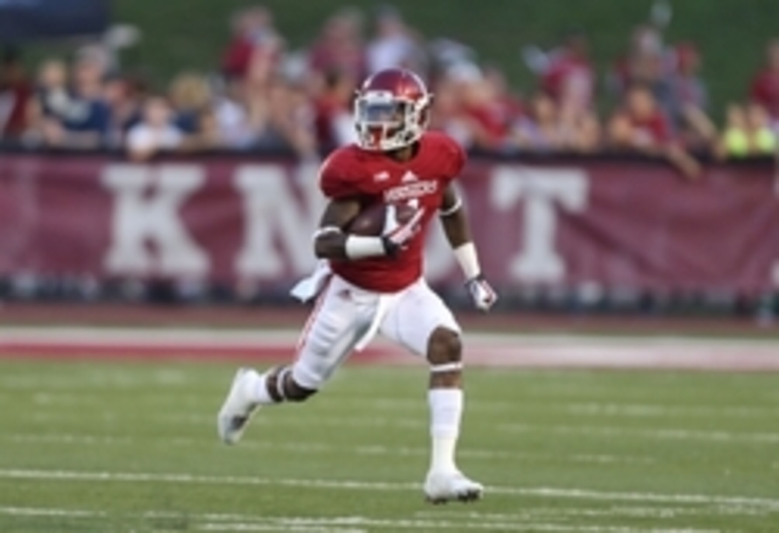 Shane Wynn