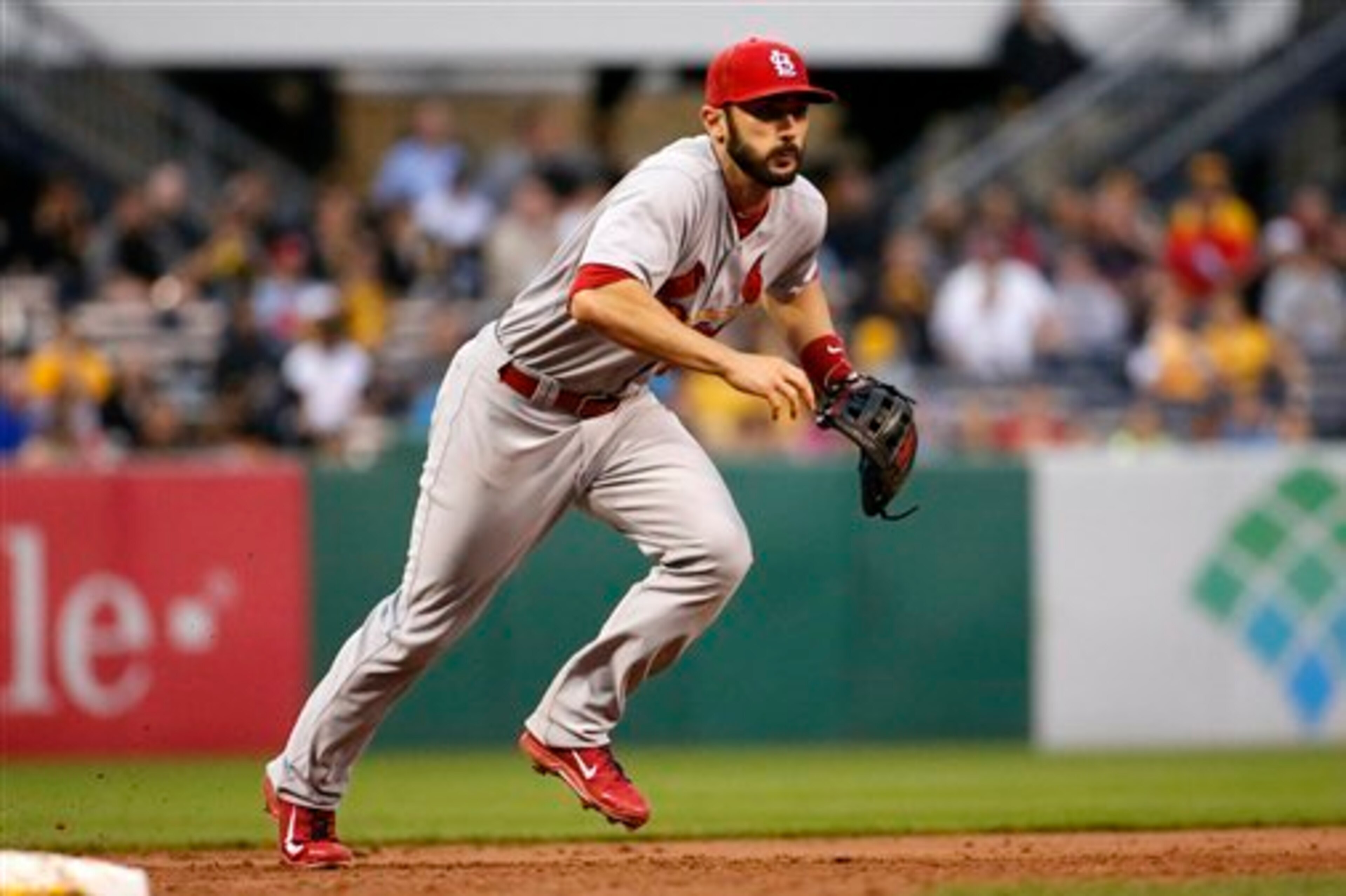Matt Carpenter is one of the 10 greatest steals of the last 10 years. Matt Carpenter is one of the 10 greatest steals of the last 10 years.