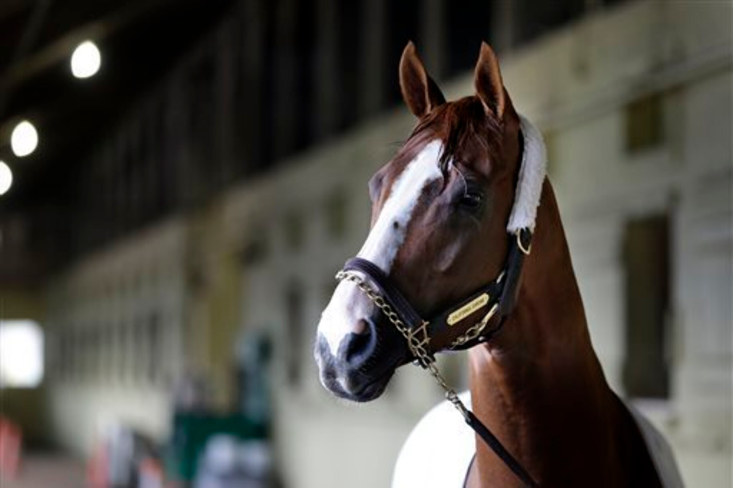 California Chrome takes aim at history.