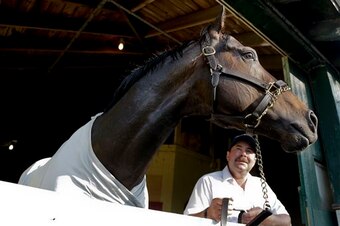 Ride On Curlin looms large.