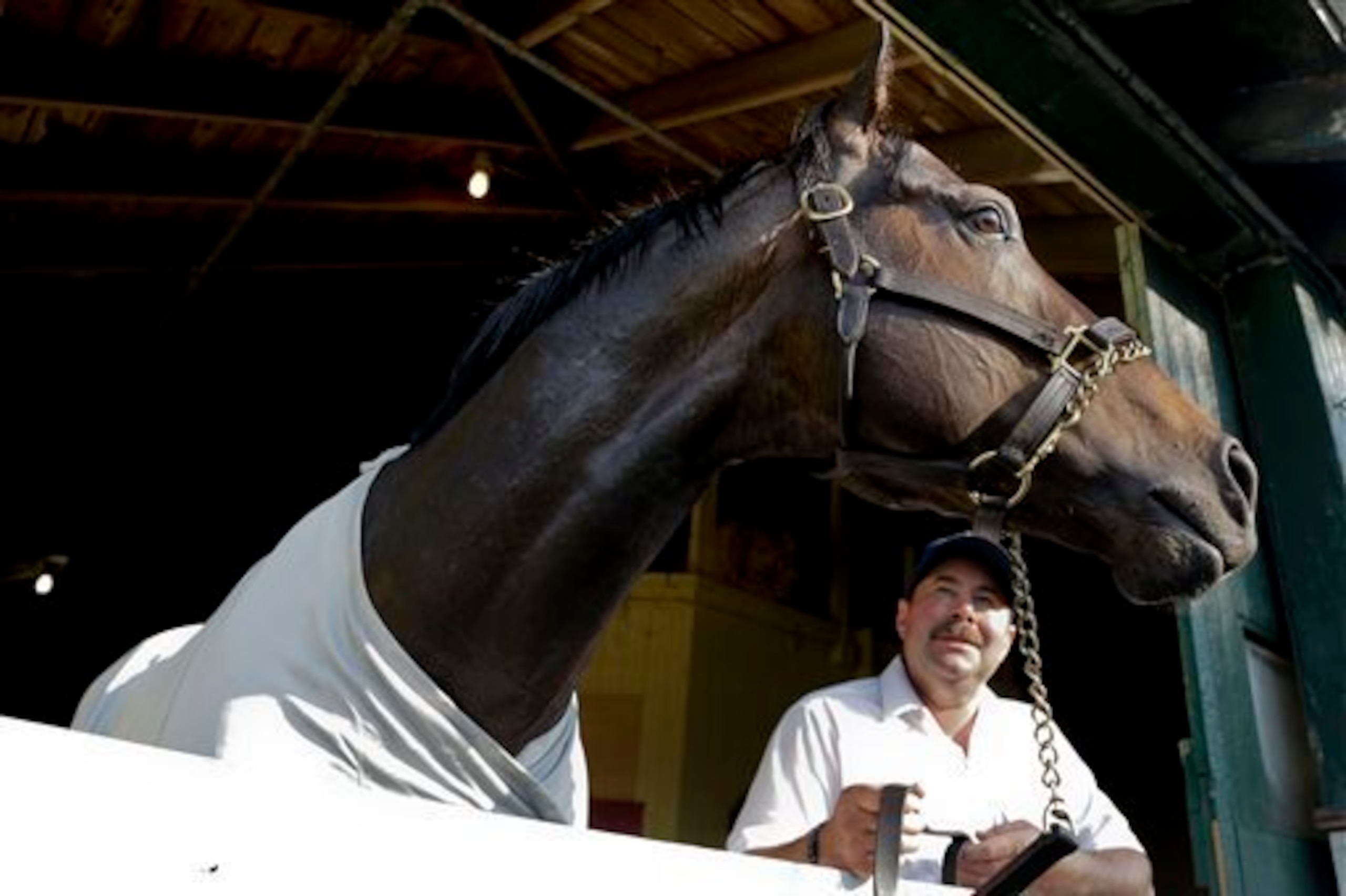 Ride On Curlin looms large. Ride On Curlin looms large.