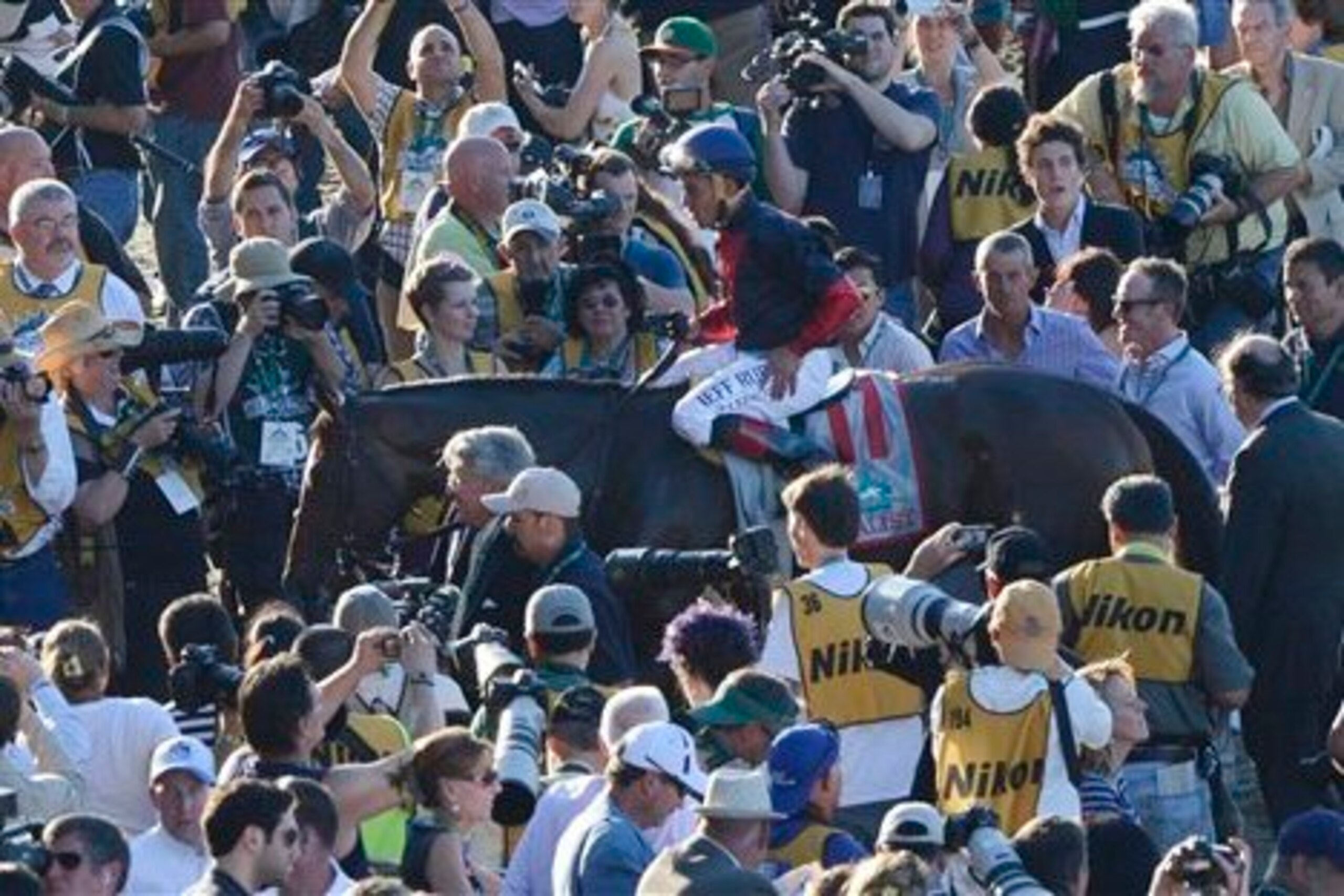 Tonalist, winner of the Belmont Stakes.
