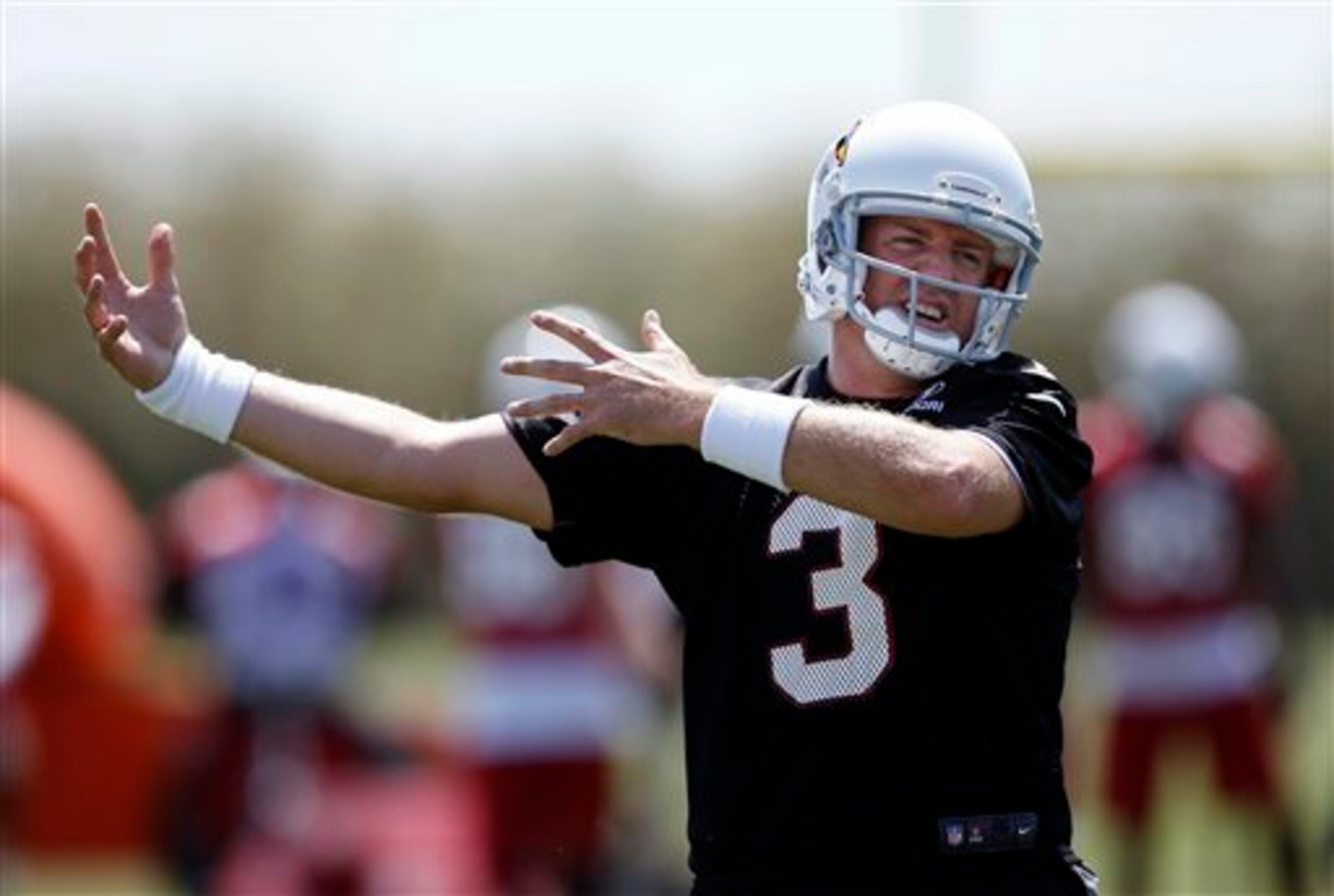 Carson Palmer might have to put the team on his back at times in 2014.