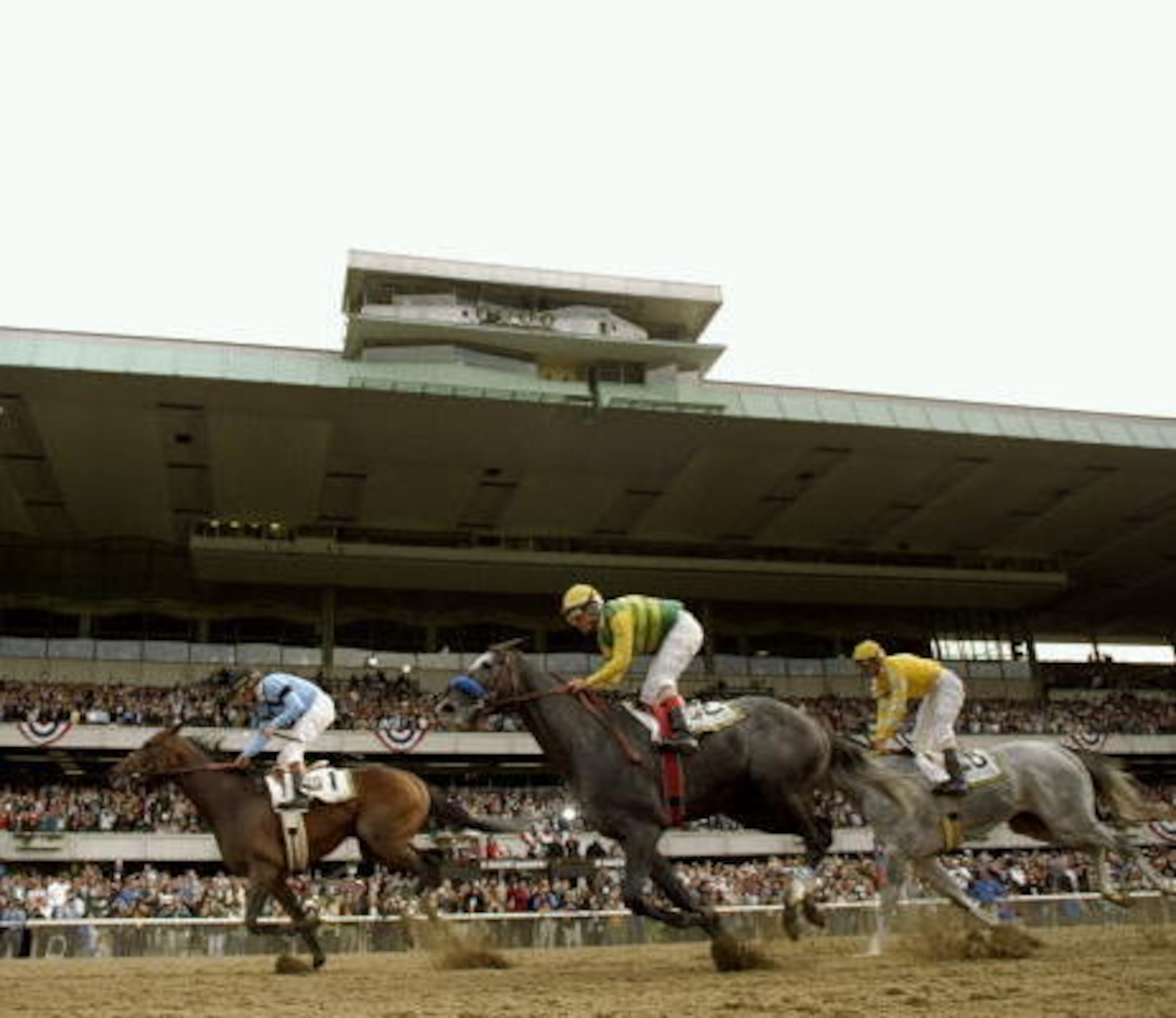 Touch Gold, Commissioner's maternal grandsire, winning the 1997 Belmont
