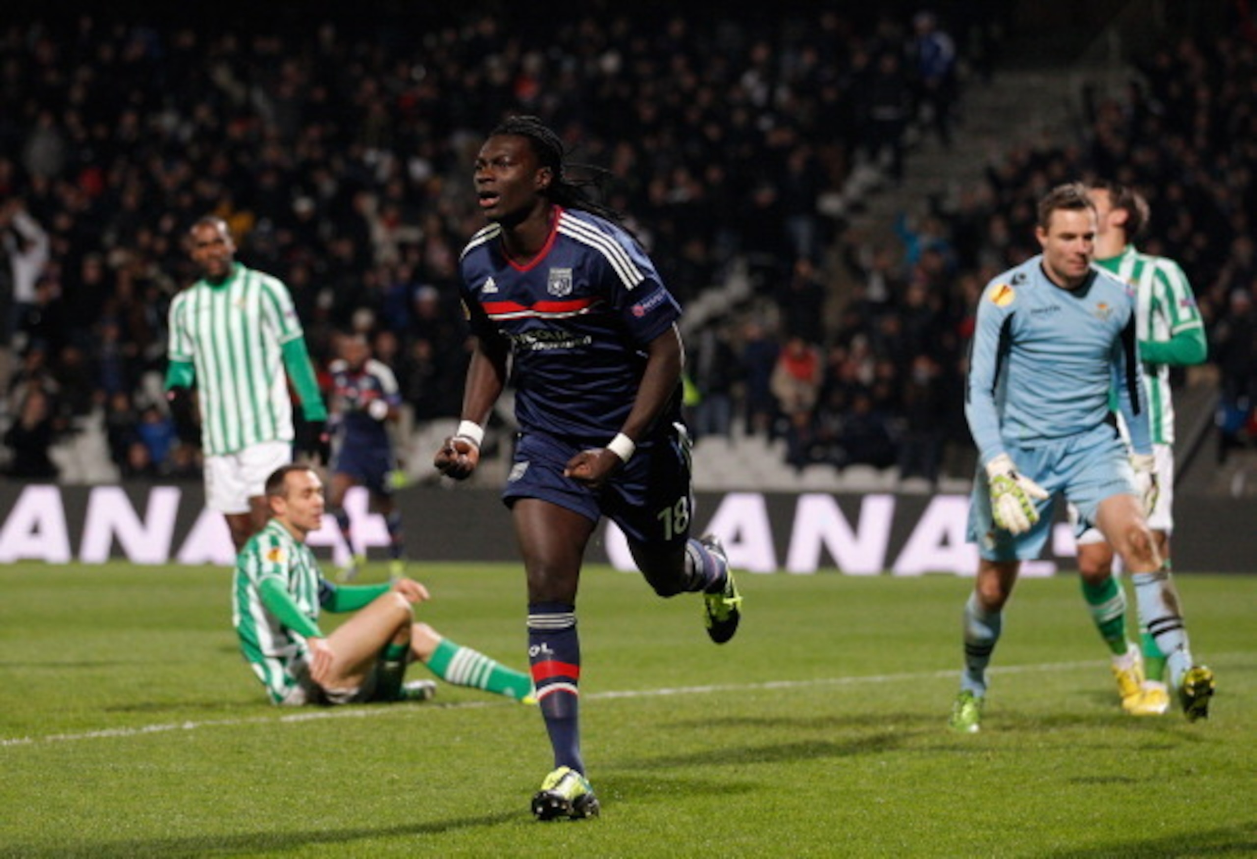 Bafetimbi Gomis is a target for Newcastle.