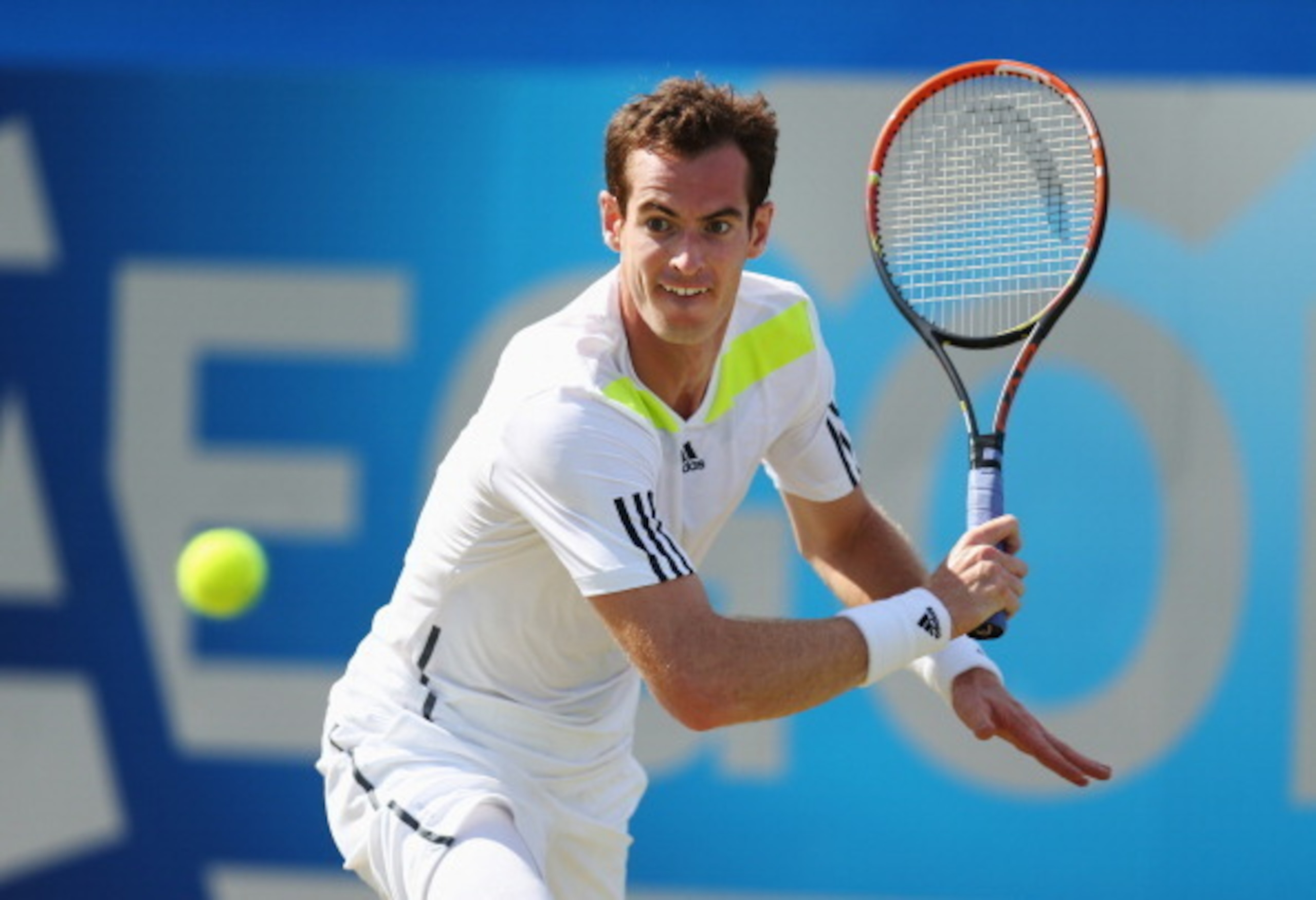 Andy Murray during a match at Queen's Club tournament.