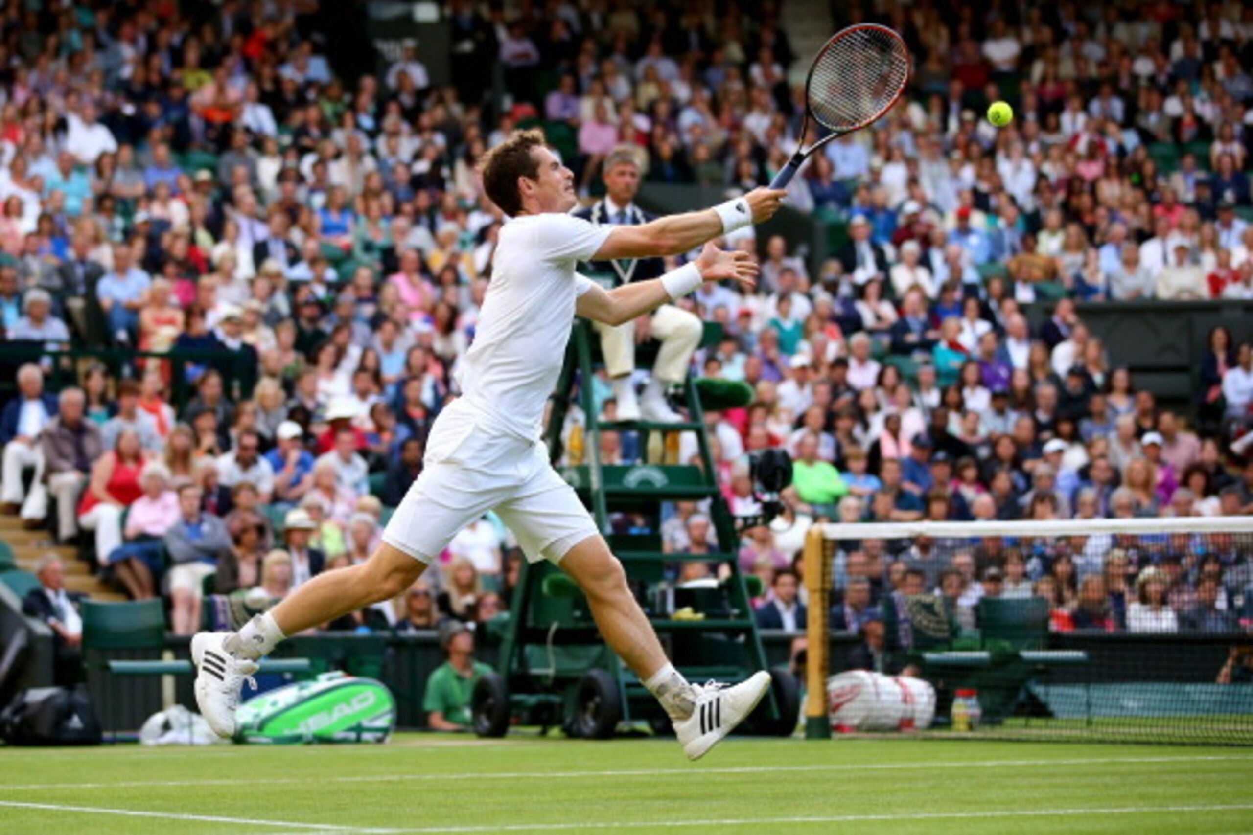 Andy Murray goes for the ball during a match at Wimbledon.