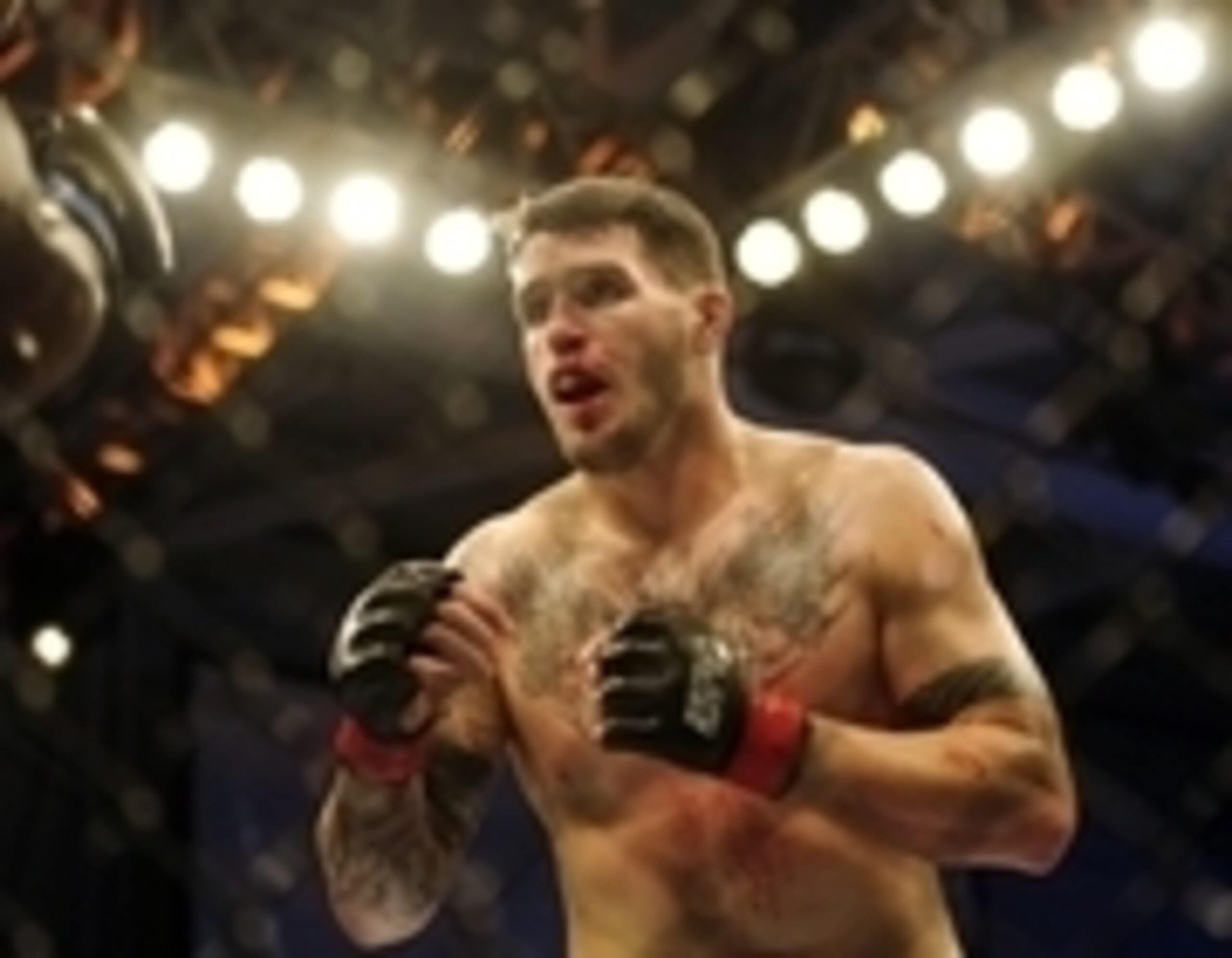 Chris Camozzi