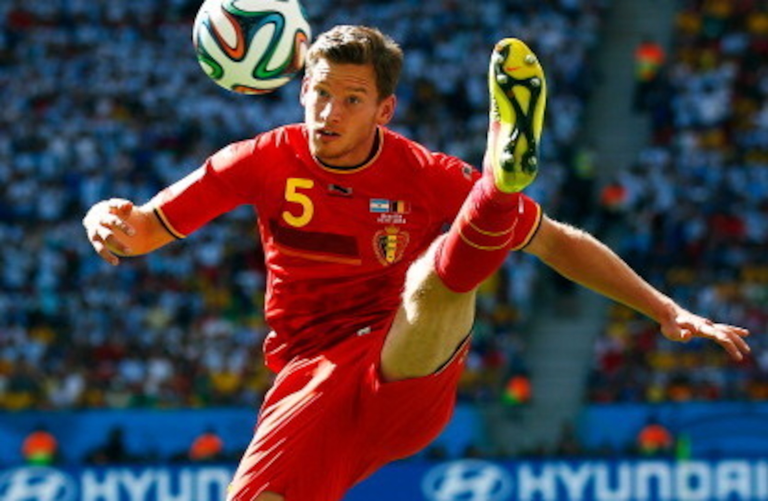 Jan Vertonghen is a wanted man.