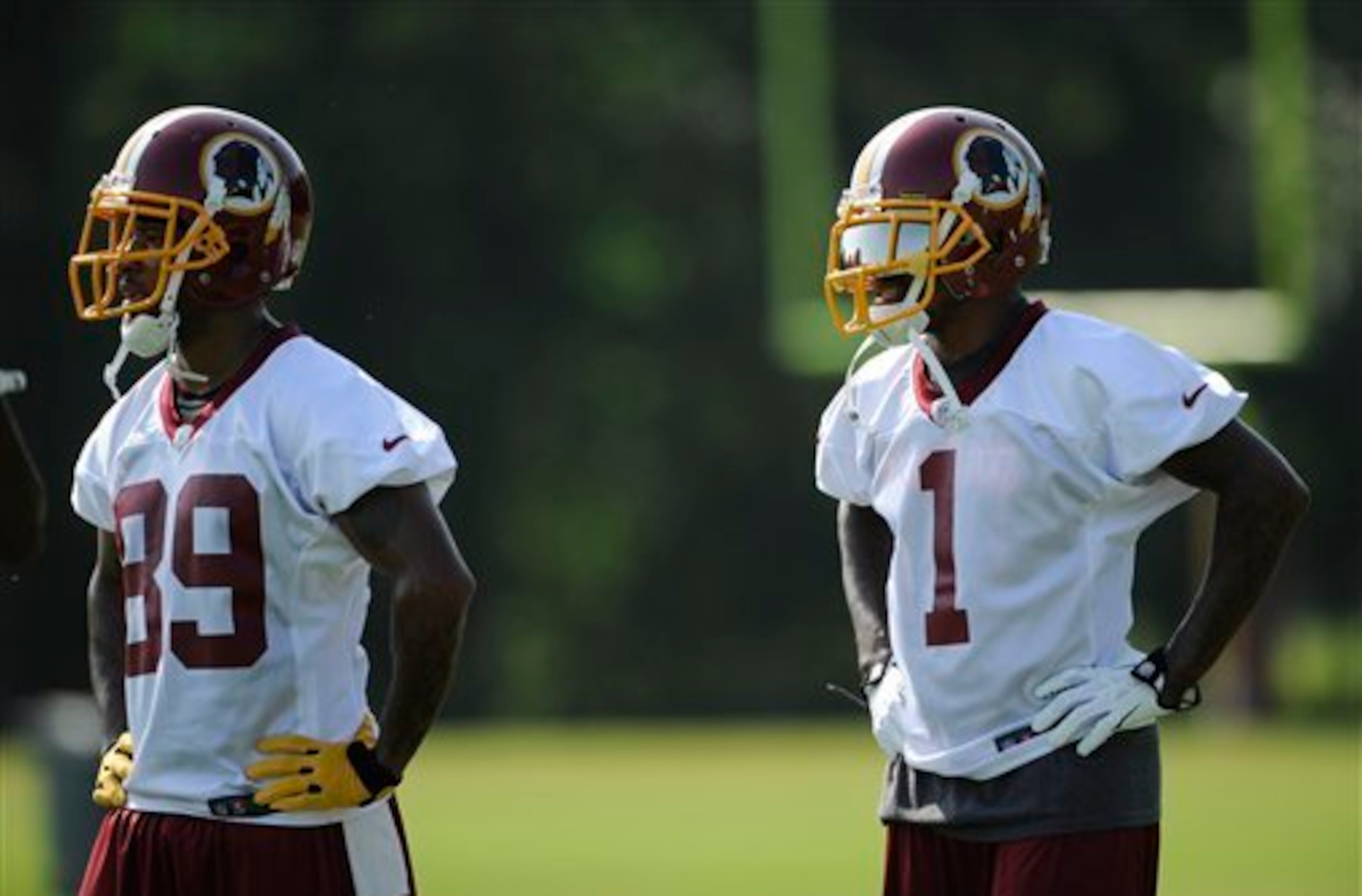 DeSean Jackson is the deep threat that Washington needed.