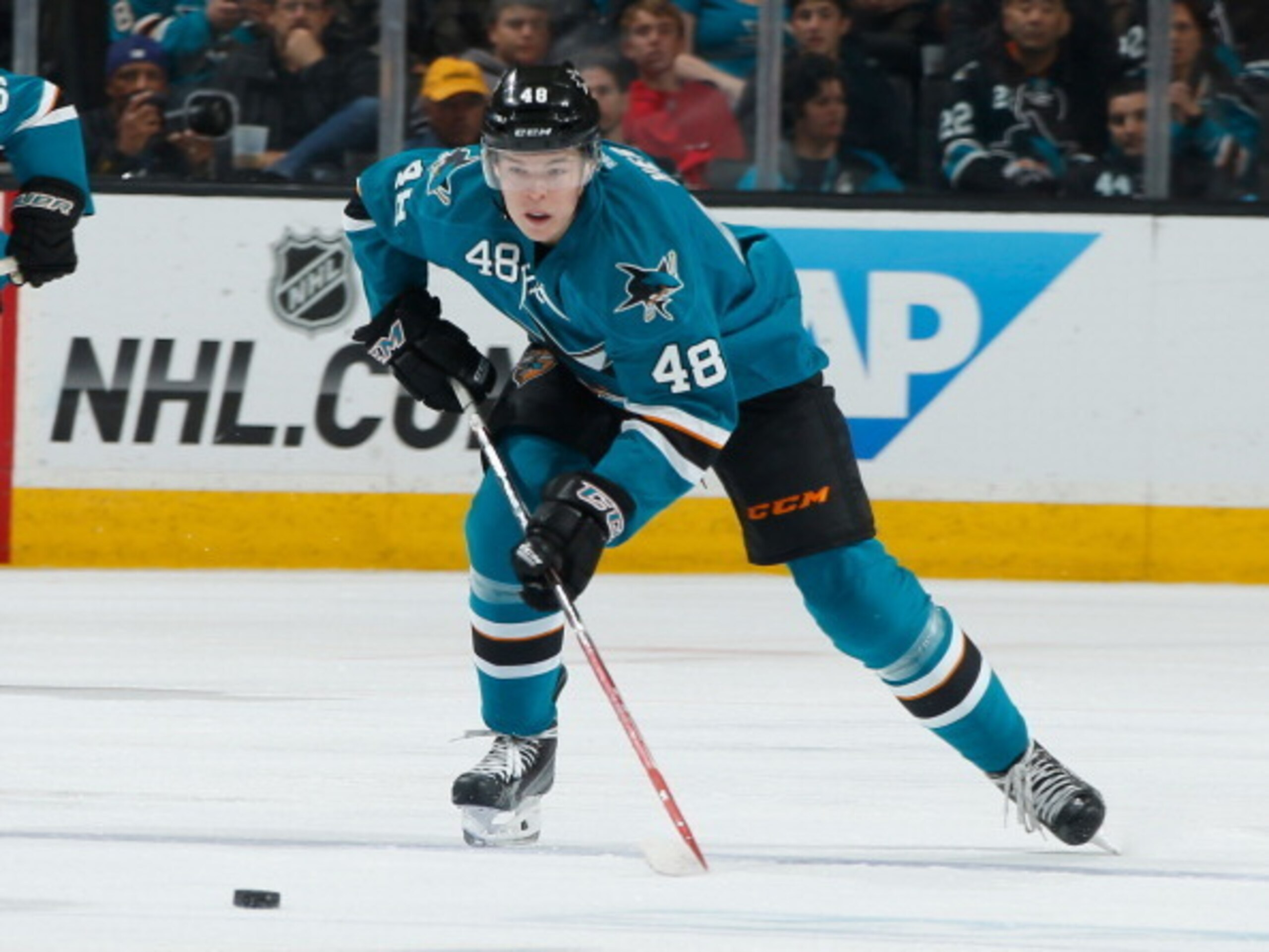 Tomas Hertl Tomas Hertl