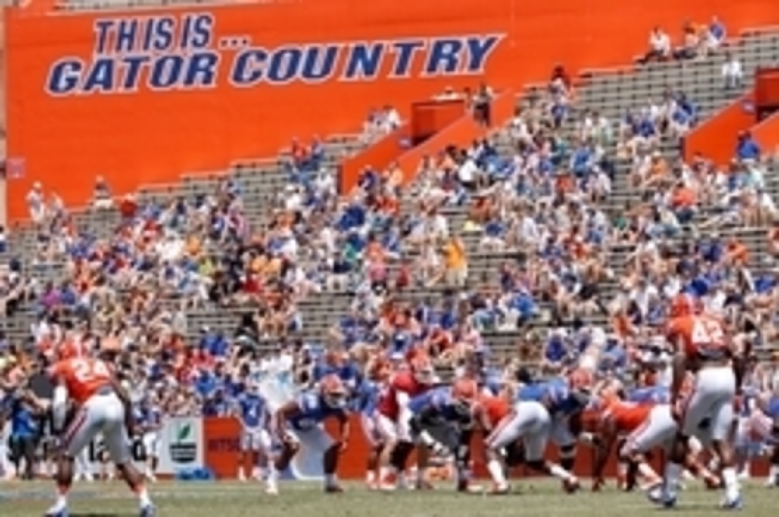 Florida Gators' 2014 spring football game Florida Gators' 2014 spring football game