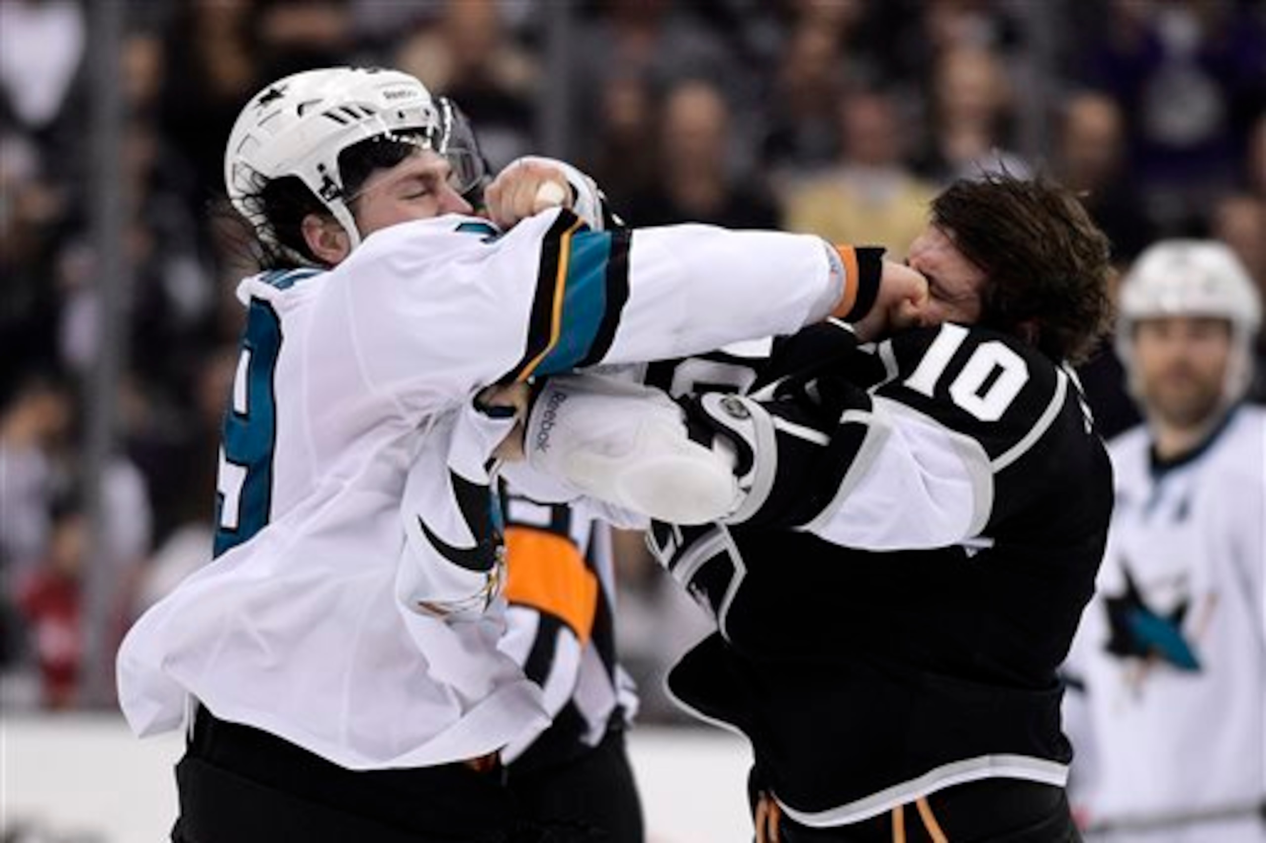 The Kings and Sharks are bitter rivals.