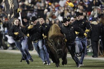 Ralphie the Buffalo gives Colorado a unique game day scene.