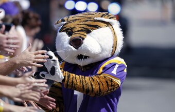 LSU is known for its devotion and fervor for football.