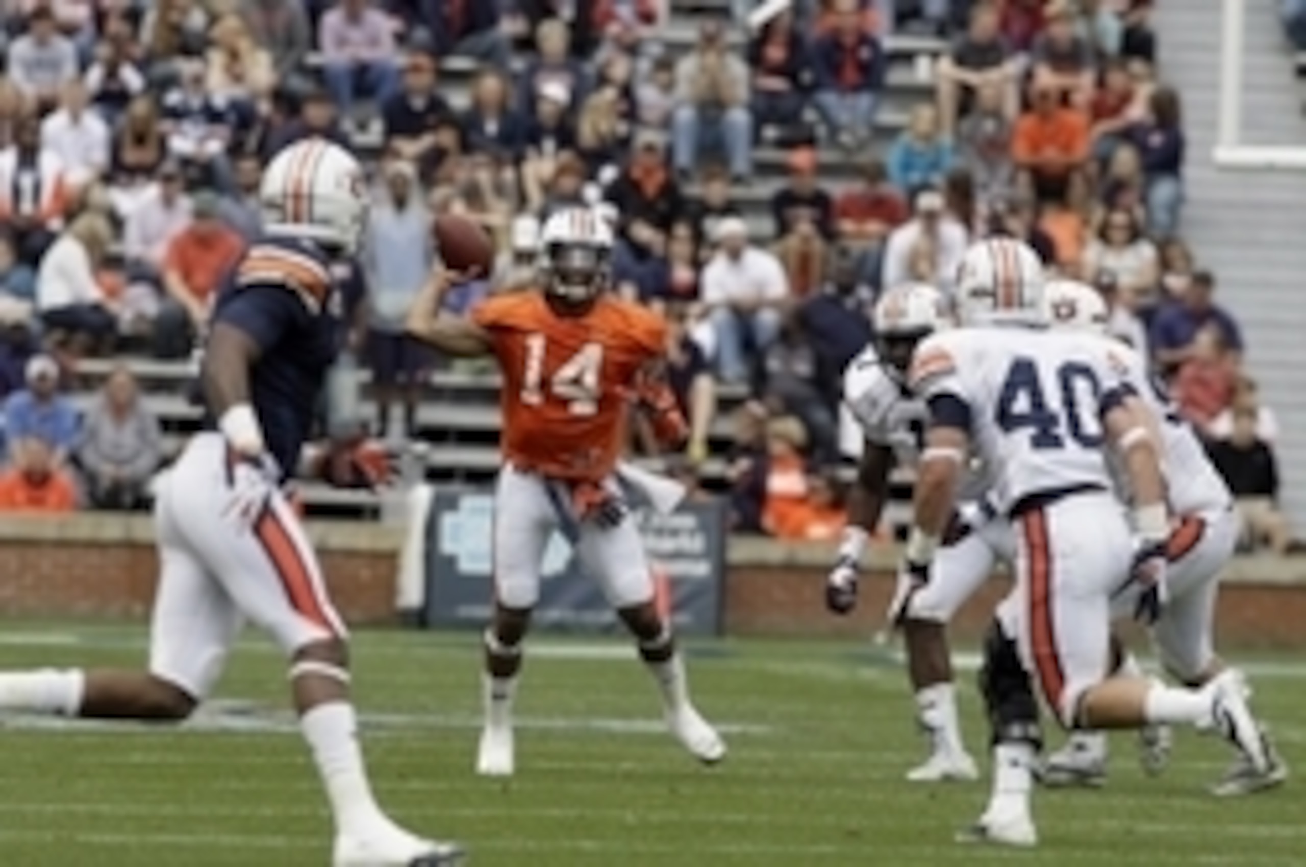 New Auburn wideout D'Haquille Williams should make a huge impact in the Tigers' offense this fall.