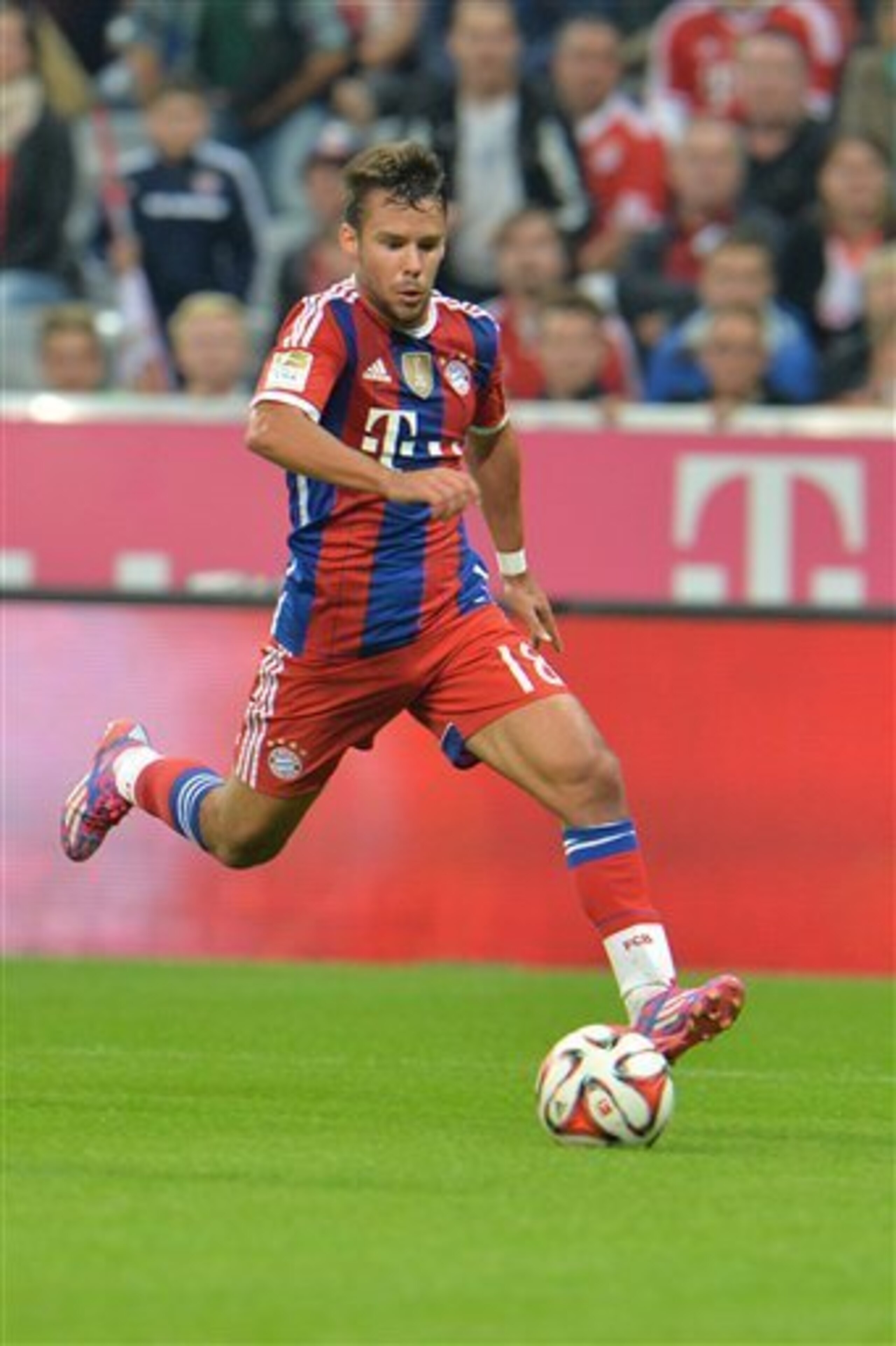 Bernat bonus