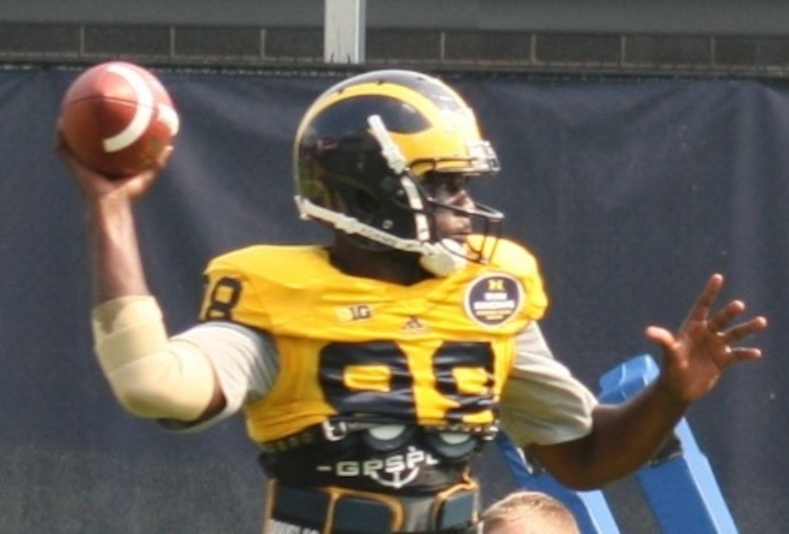 Devin Gardner