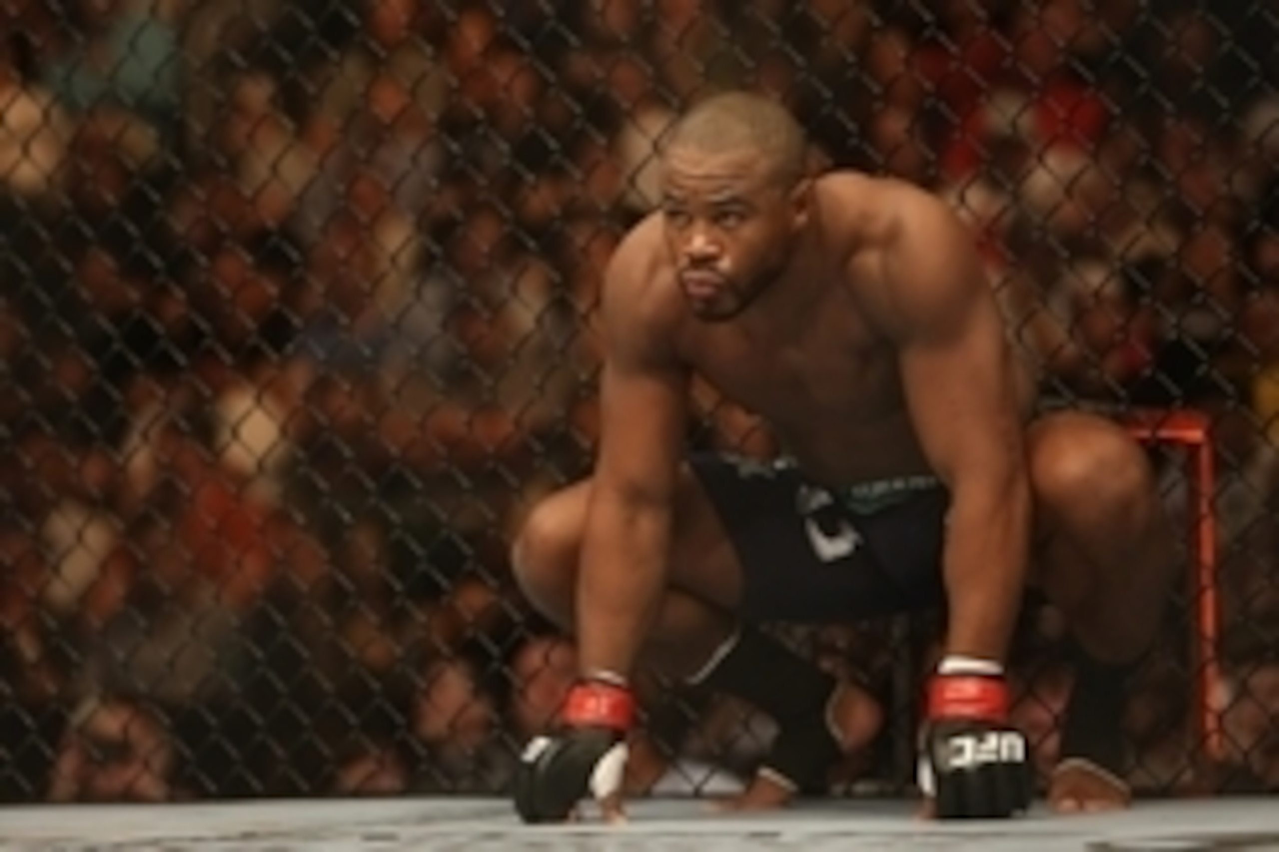 Rashad Evans