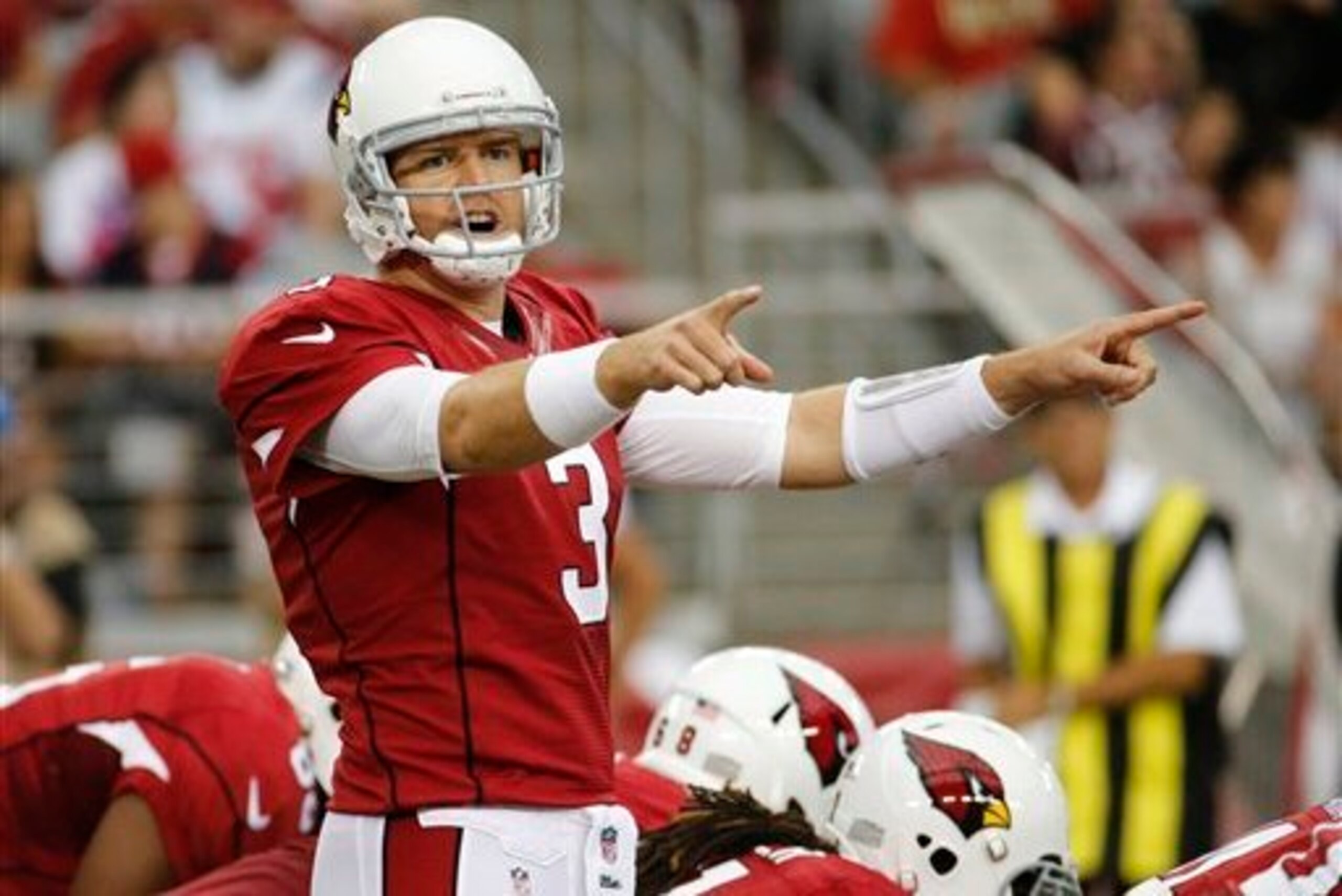 Quarterback Carson Palmer leads the Cardinals into the 2014 season.