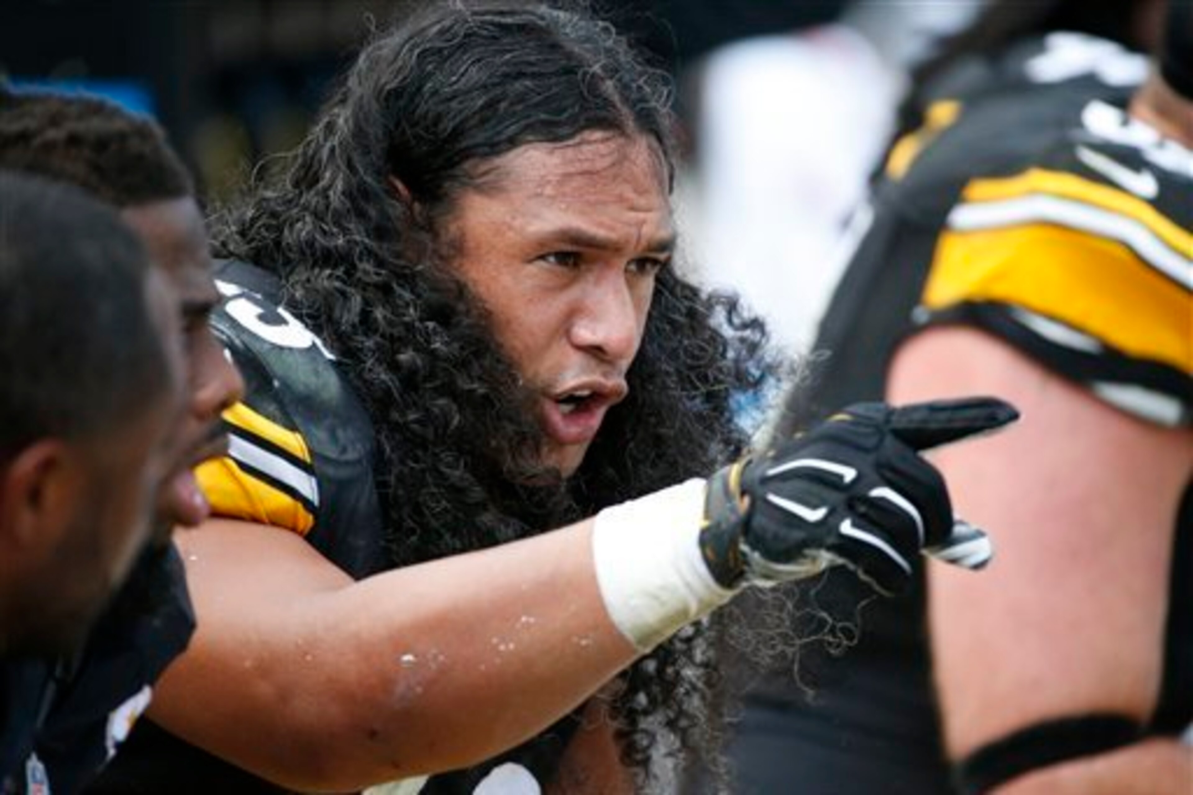 Troy Polamalu and the Pittsburgh Steelers have their sights set on the Ravens.