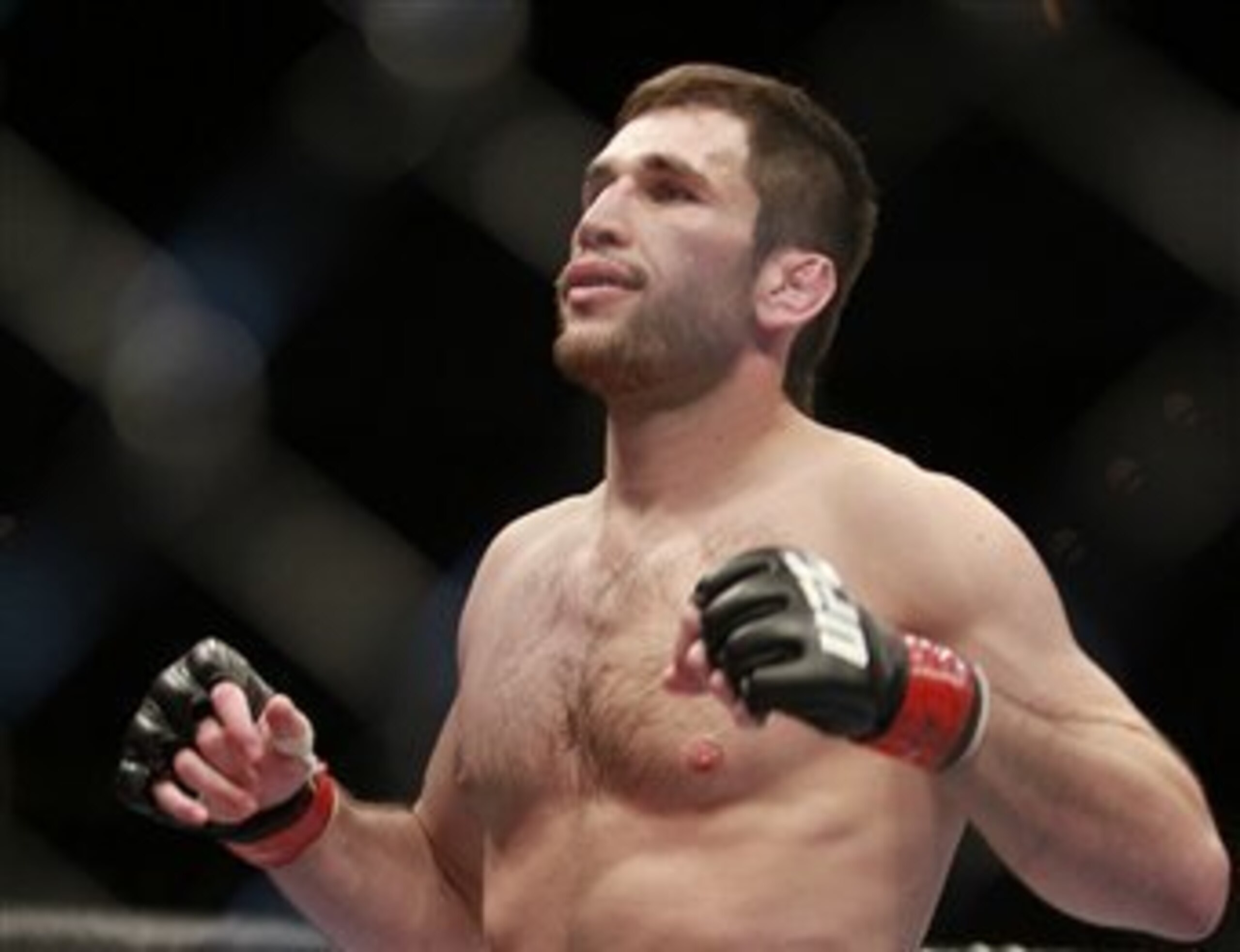 Amir Sadollah