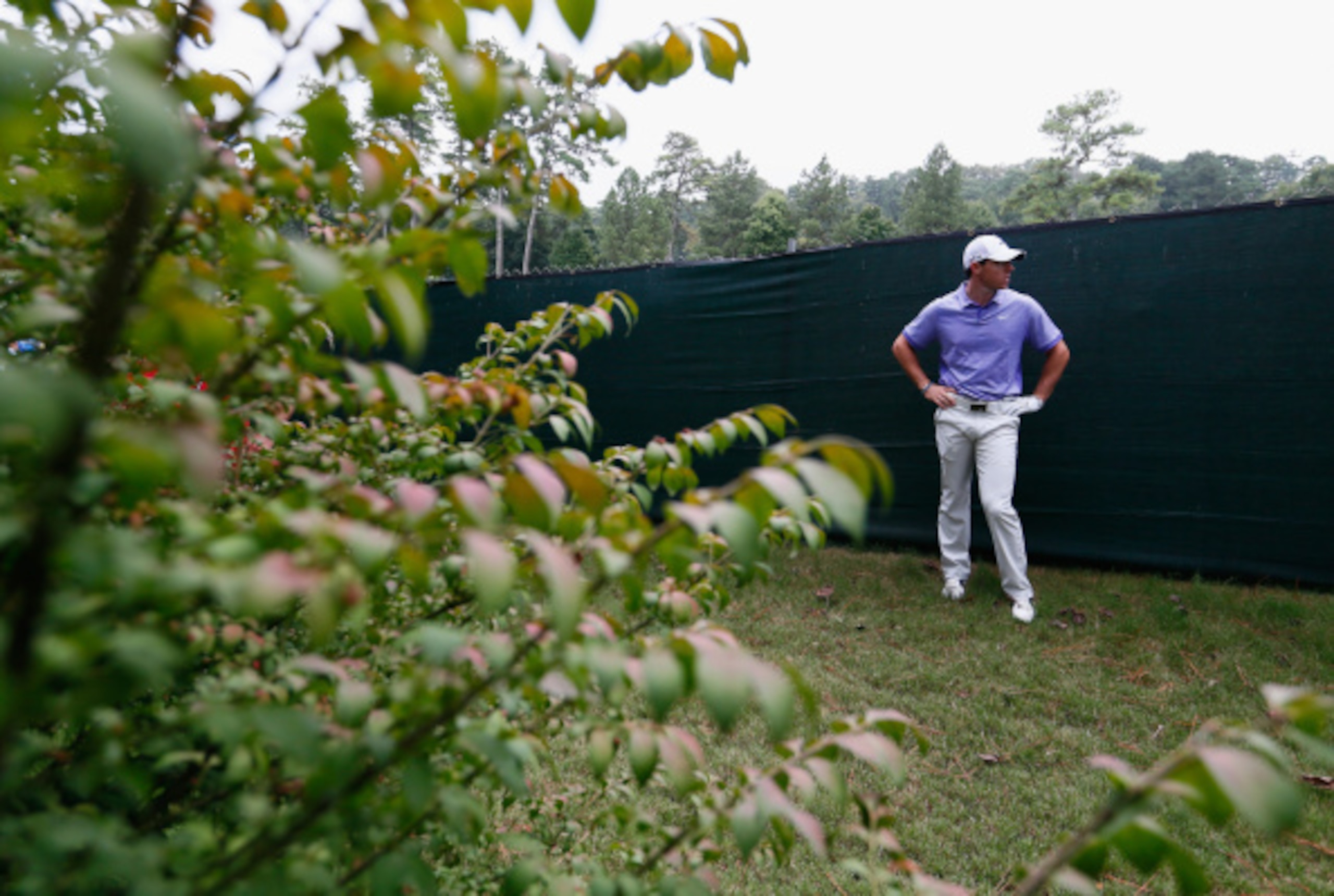 ATLANTA, GA - SEPTEMBER 14:  Rory McIlroy of Northern Ireland waits to play a shot from the rough on the ninth hole during the final round of the TOUR Championship by Coca-Cola at the East Lake Golf Club on September 14, 2014 in Atlanta, Georgia.  (Photo 